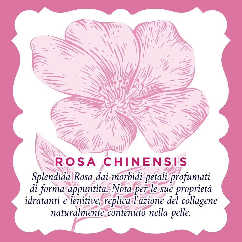 Illustration einer rosa Blüte mit Blättern und Text.
