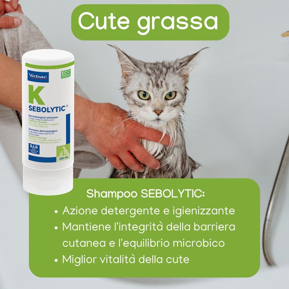 Due scatole di Dermoscent PYO Spot per cani.