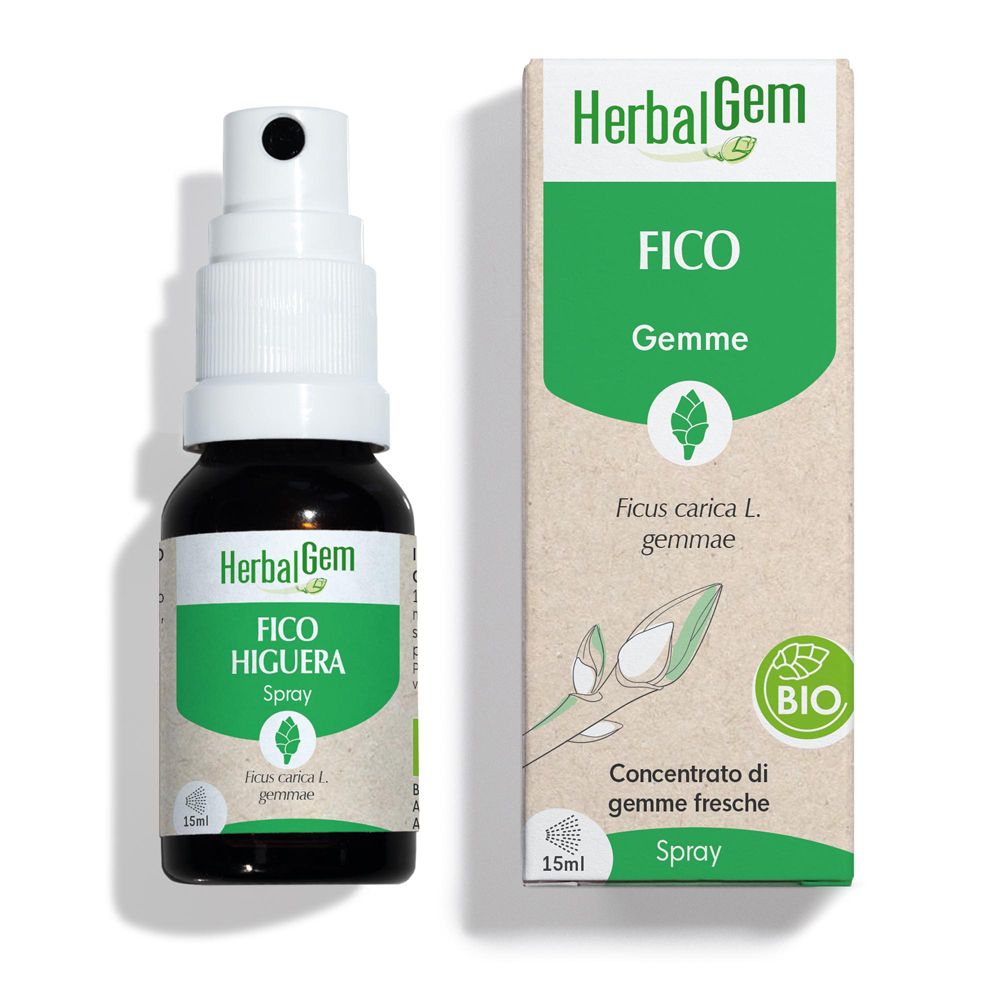 Flacone di vetro marrone con vaporizzatore bianco e scatola. Scritta: HerbalGem, FICO, Gemme, Spray.