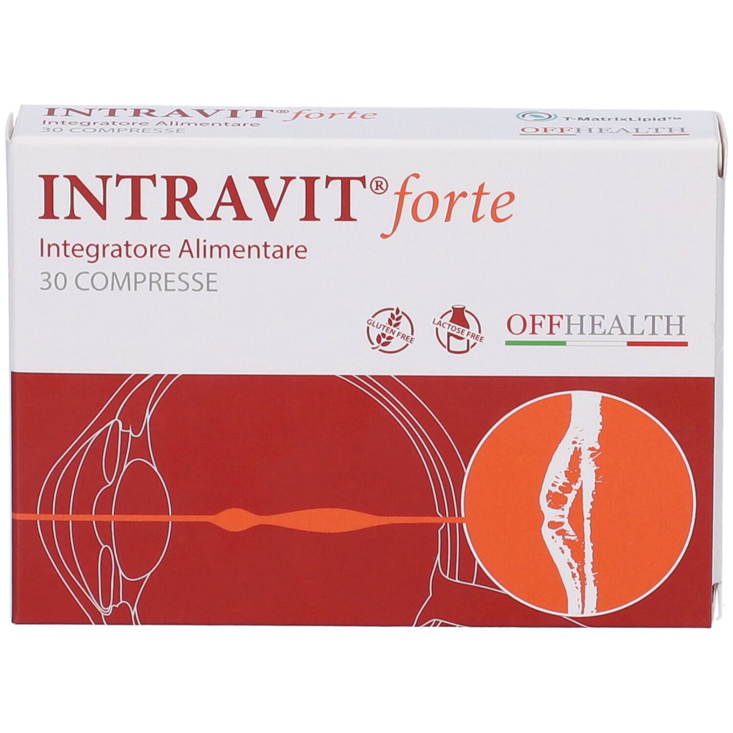 INTRAVIT forte Integratore Alimentare, 30 Tabletten.