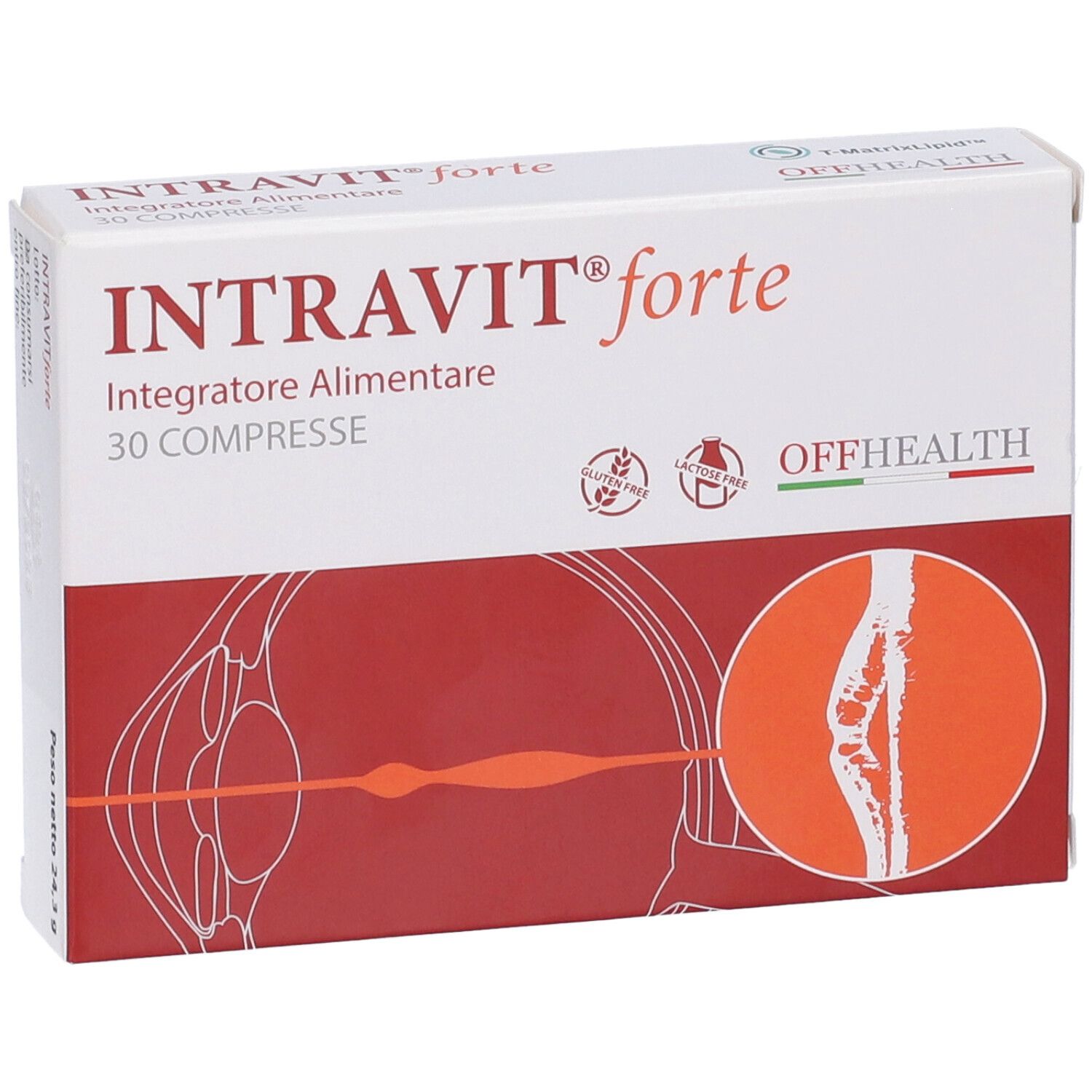 Packung INTRAVIT forte, 30 Tabletten. Gluten- und laktosefrei. Enthält Abbildung von Gelenken.