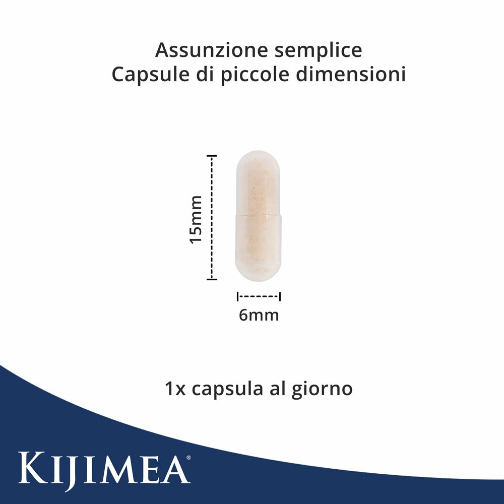 Kapsel von Kijimea FloraCare. Beige Kapsel, 15mm lang, 6mm breit. Beschriftung: 1x Kapsel pro Tag.