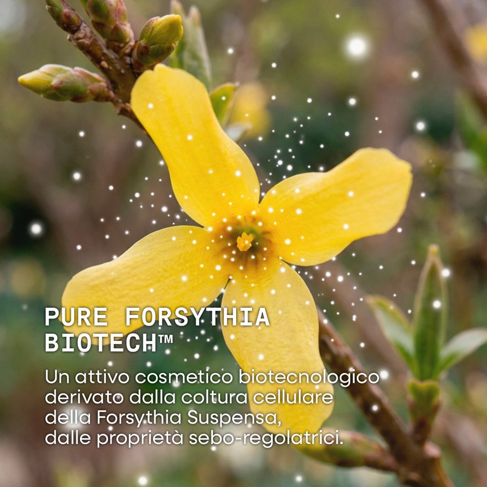 Ingrediente: Pure Forsythia Biotech. Fiore giallo con testo "Pure Forsythia Biotech", proprietà sebo-regolatrici.