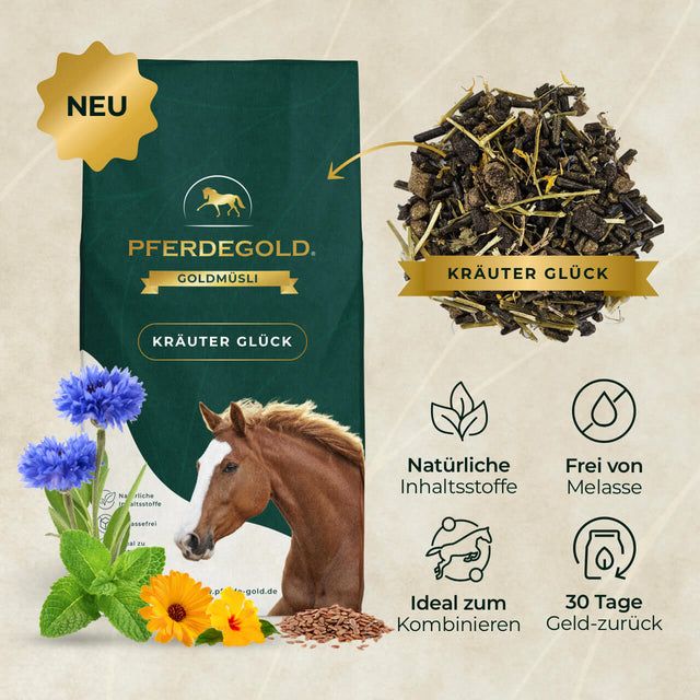 Pferdegold Goldmüsli Kräuter Glück