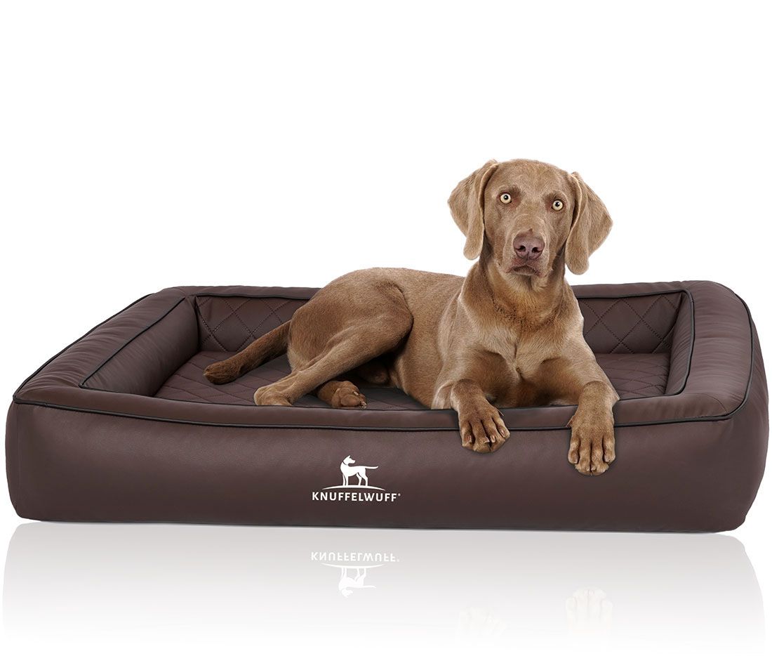 Braunes orthopädisches Hundebett mit Hund. Gesteppte Liegefläche, erhöhtem Rand. Logo: Knuffelwuff. Hund liegt.