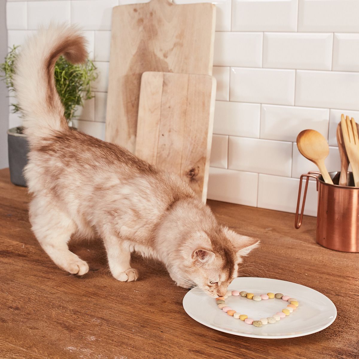 GimCat® Käse Rollis