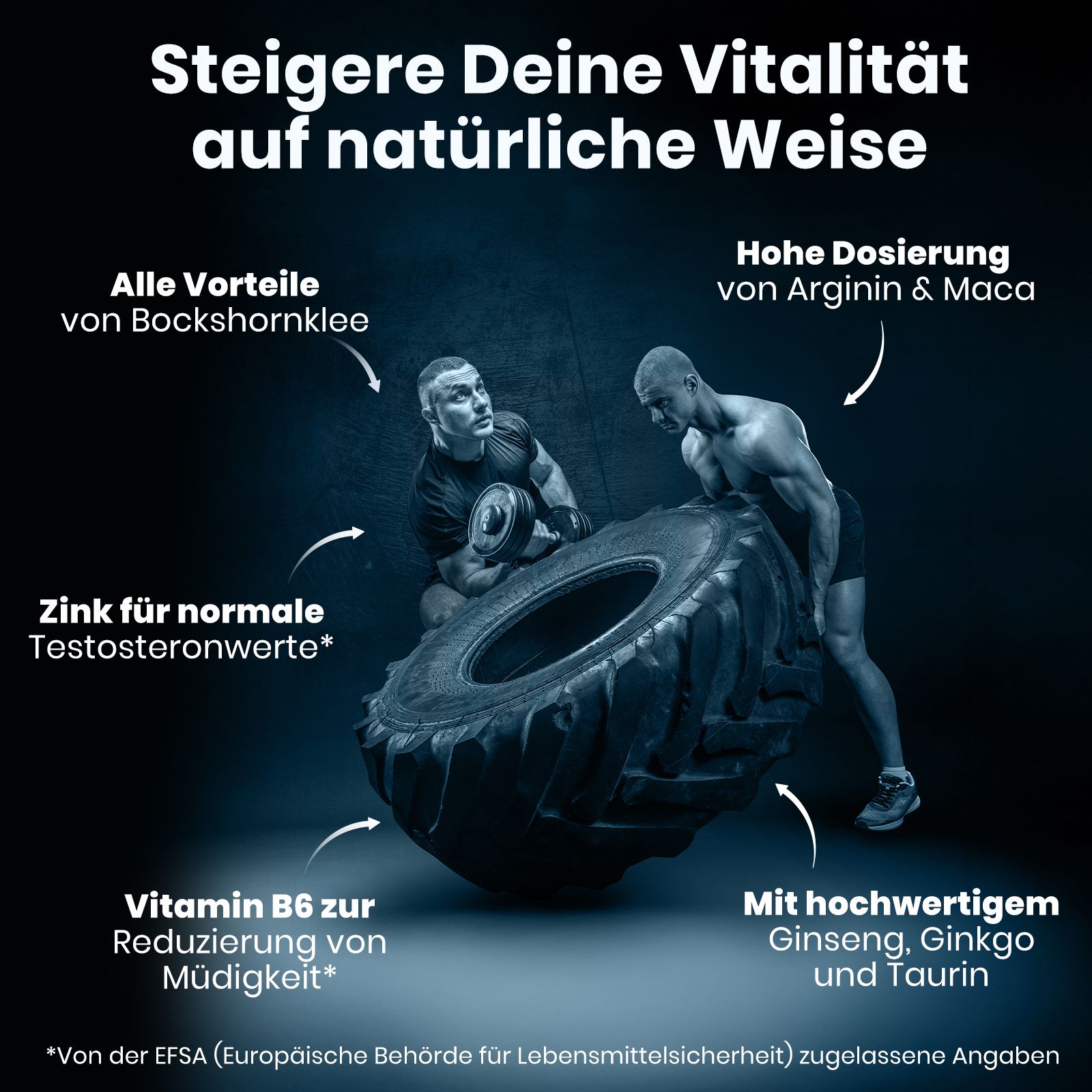Grafik mit Text. Vorteile von Bockshornklee, Arginin & Maca, Zink und Ginseng, Ginkgo und Taurin. Blaue Farbgebung.