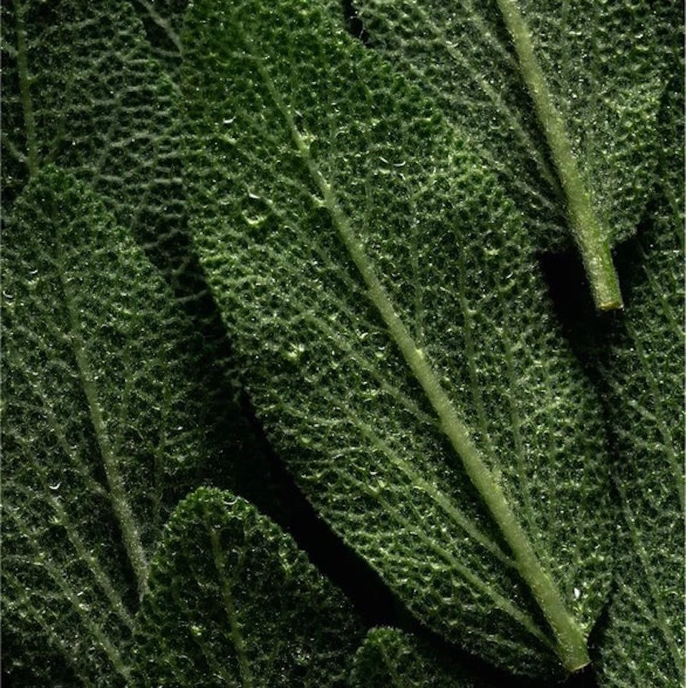 Zero Skin Keratin Volume Boost Shampoo, volumengebend und kräftigend