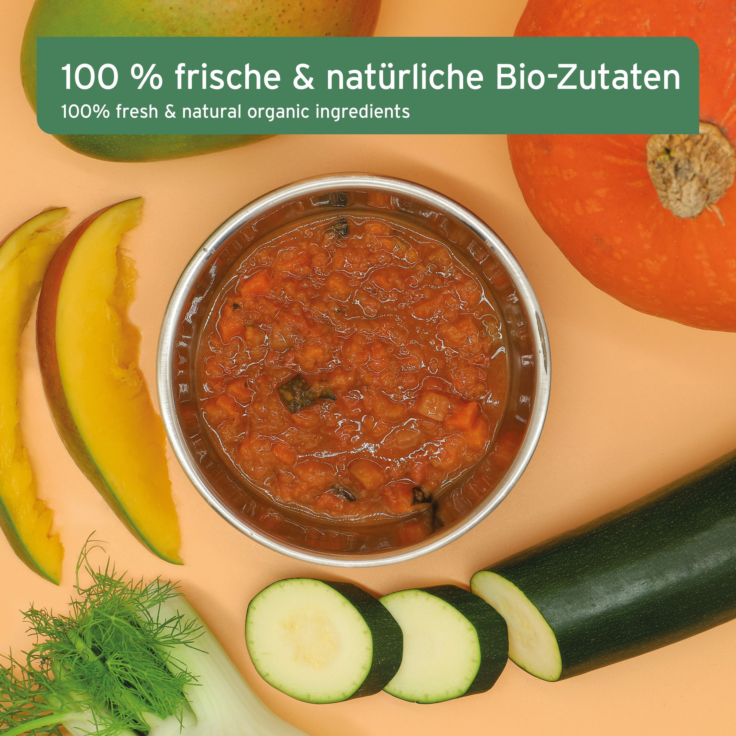 AniForte BIO BARF Püree - Fenchel & Mango 150g