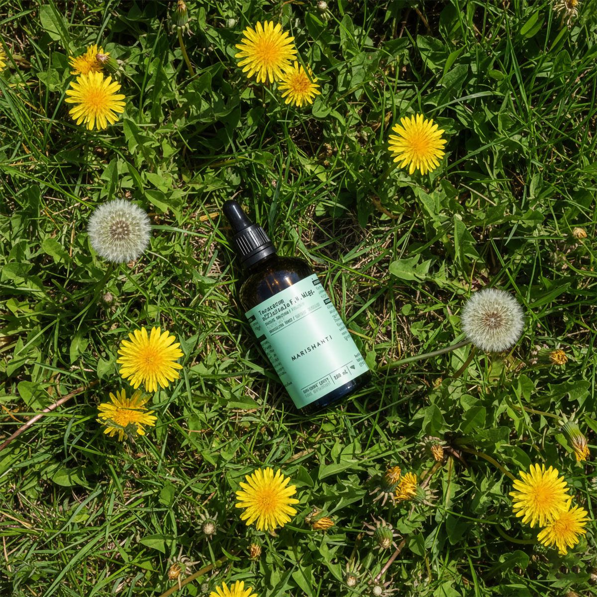 Braune Flasche mit Tropfer auf Gras. Gelbe Löwenzahnblüten. Text: Marishanti, Löwenzahnwurzel Extrakt.