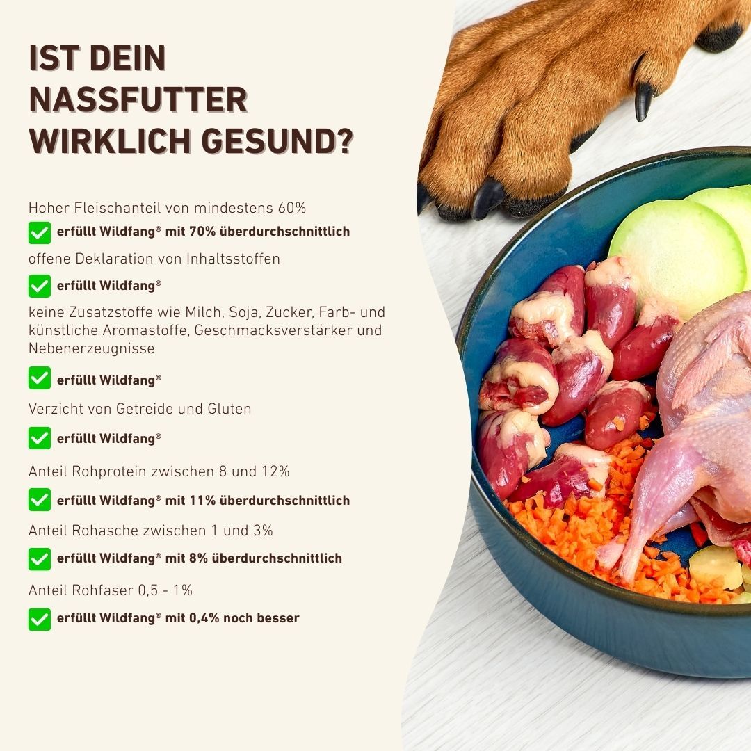 Text: Ist dein Nassfutter wirklich gesund? Aufzählung mit grünen Haken. Schüssel mit Zutaten und Innereien.