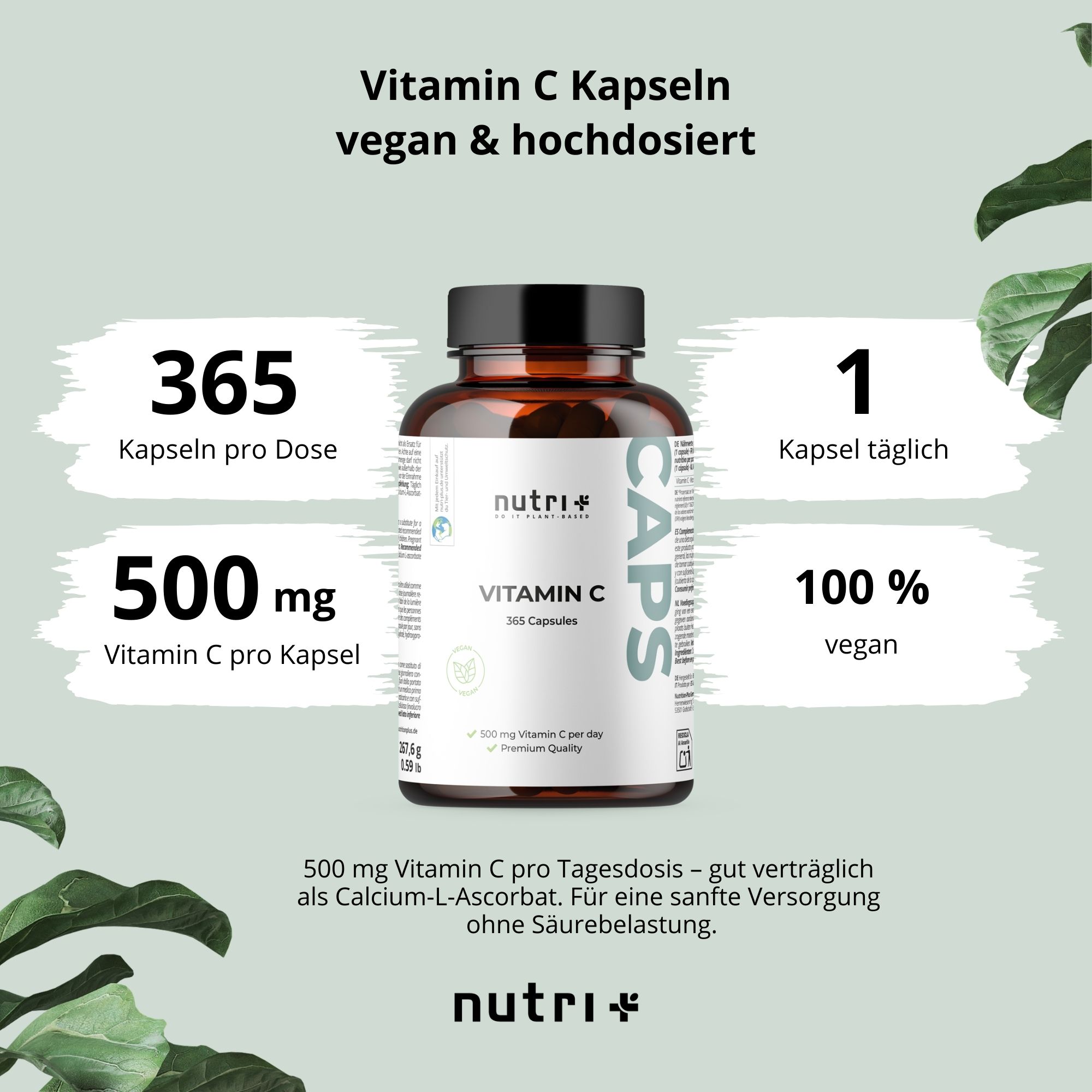 Produktabbildung mit Text: Vitamin C Kapseln, vegan & hochdosiert. Enthält 365 Kapseln, 500 mg Vitamin C, 1 Kapsel täglich, 100% vegan.