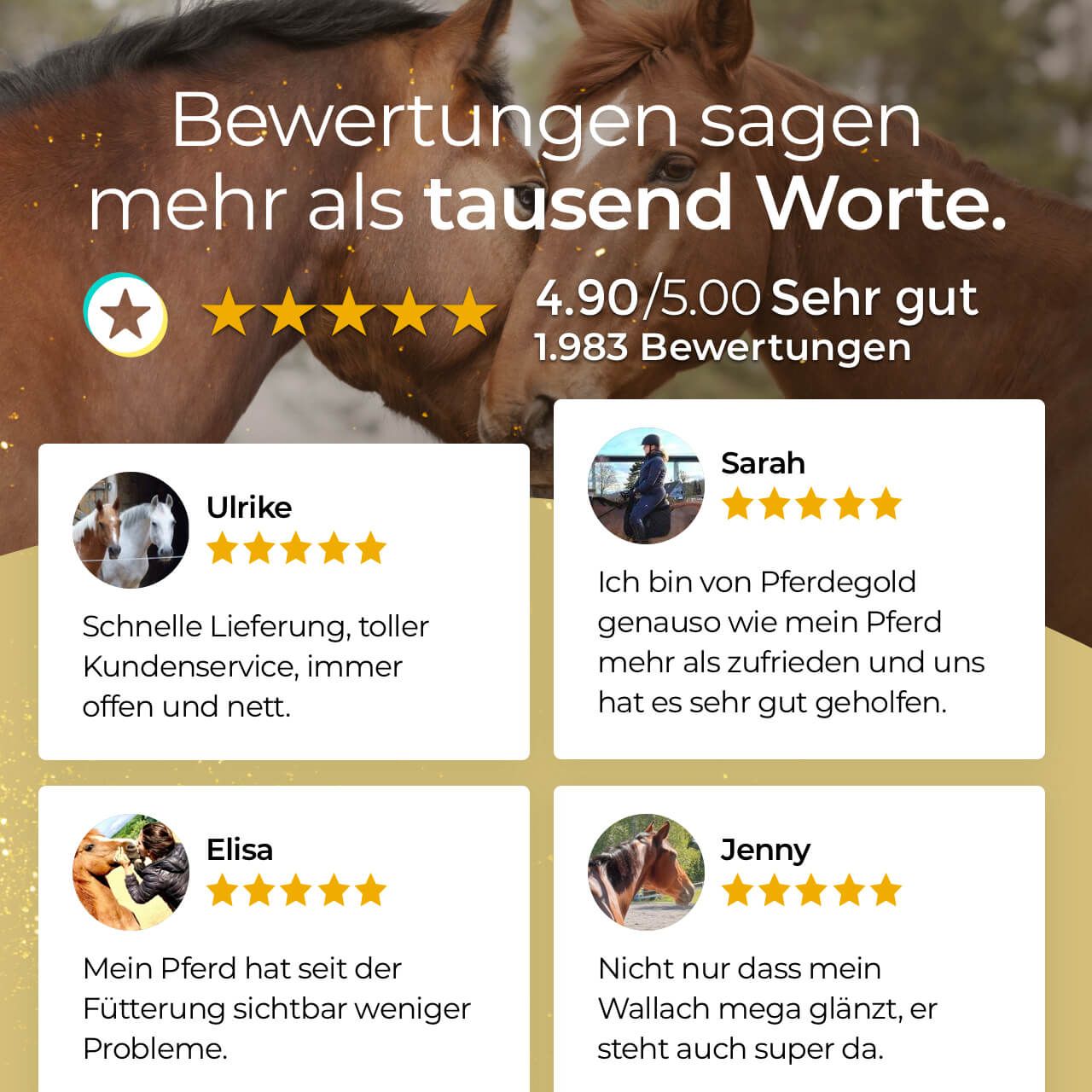 Kundenbewertungen für Pferdegold mit 5-Sterne-Ratings und positiven Kommentaren von Ulrike, Sarah, Elisa und Jenny.