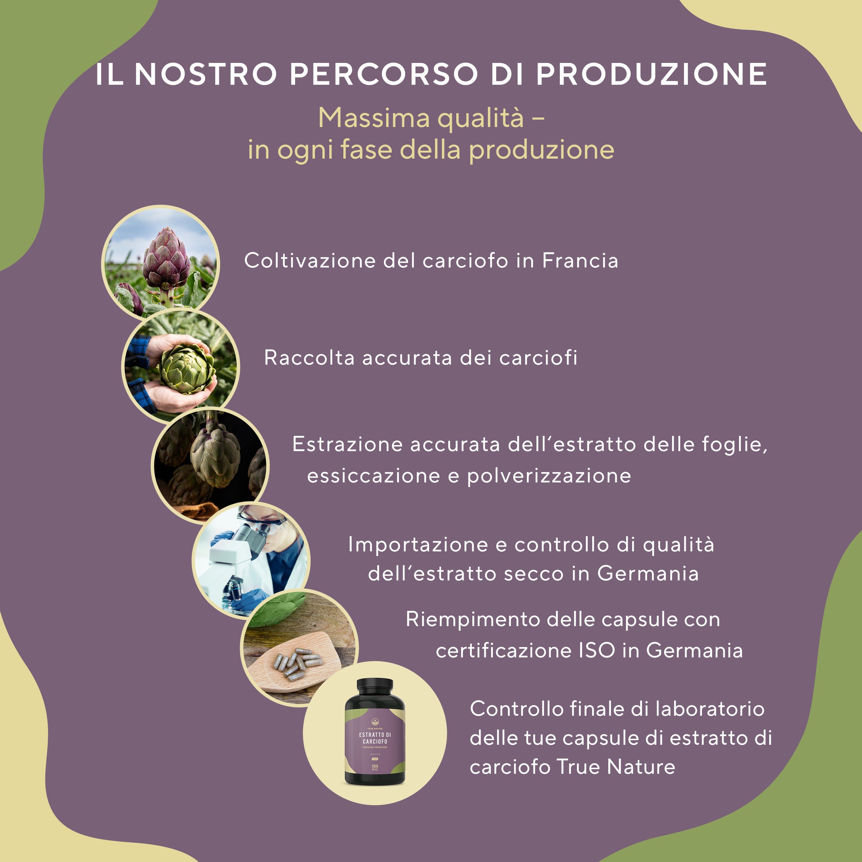 Grafico: Coltivazione, raccolta, estrazione, essiccazione, riempimento, controllo qualità. Testo: Massima qualità in ogni fase della produzione.