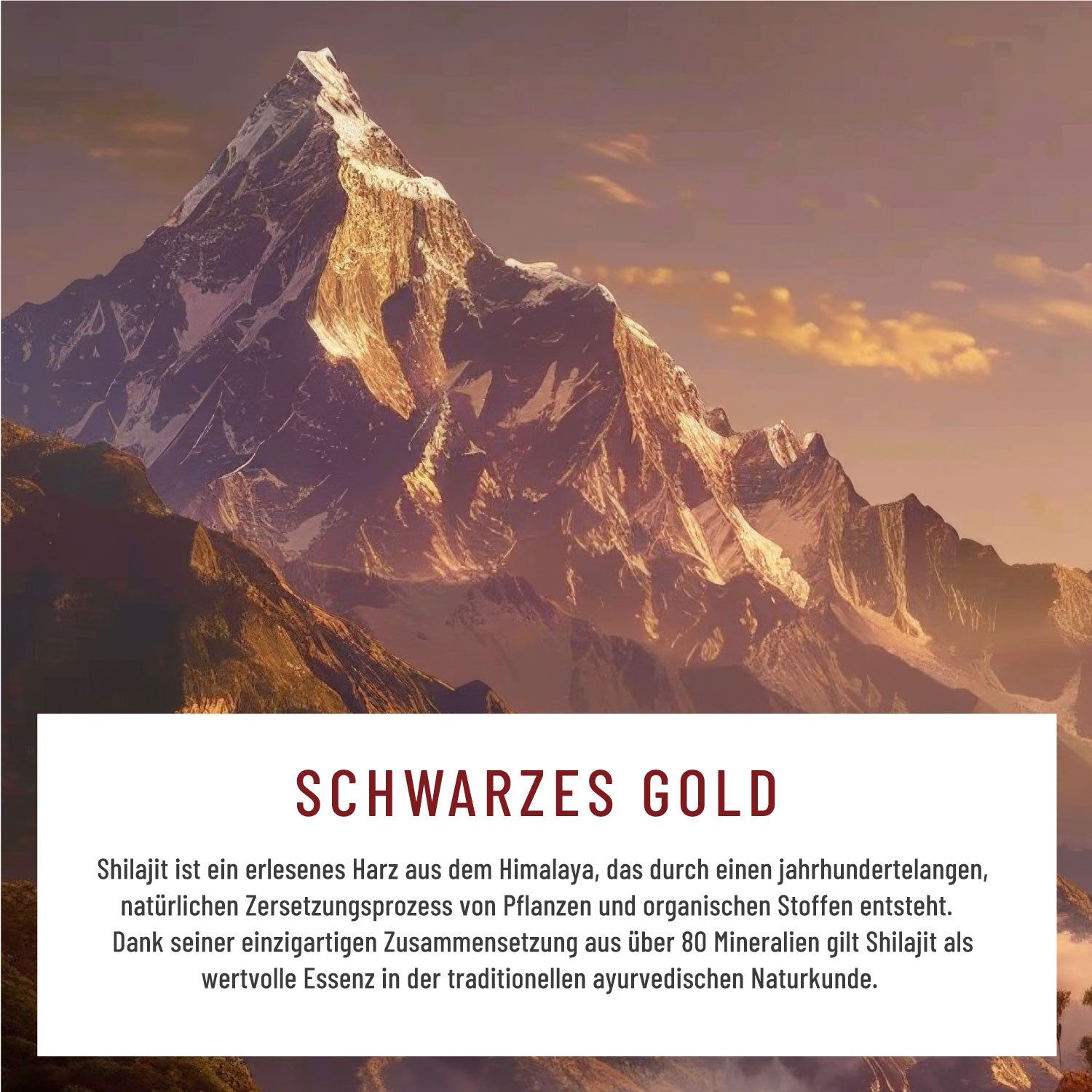 GEBIRGSKRAFT - NATURTREU®