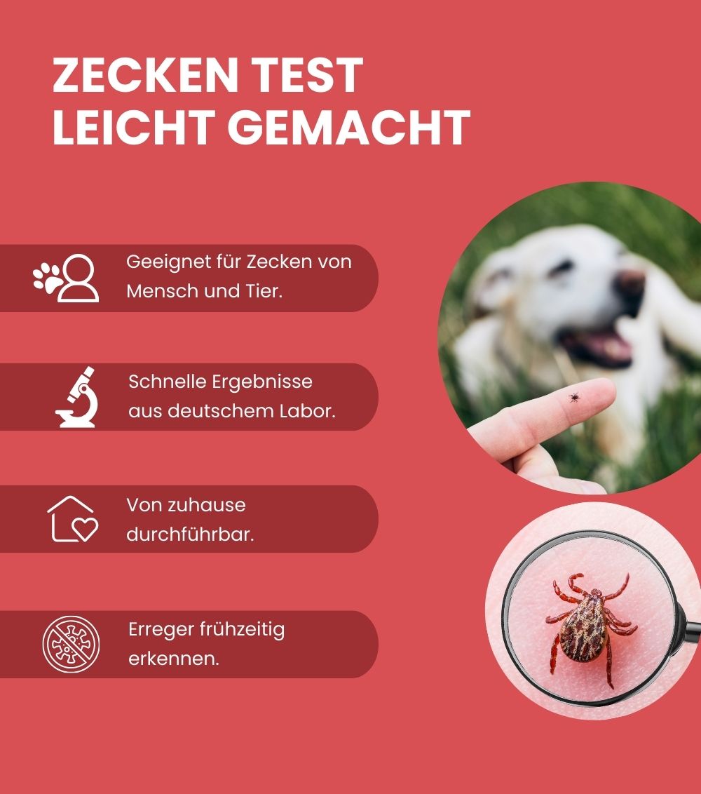 MetaLytic - Borreliose Test & FSME Test nach Zeckenbiss