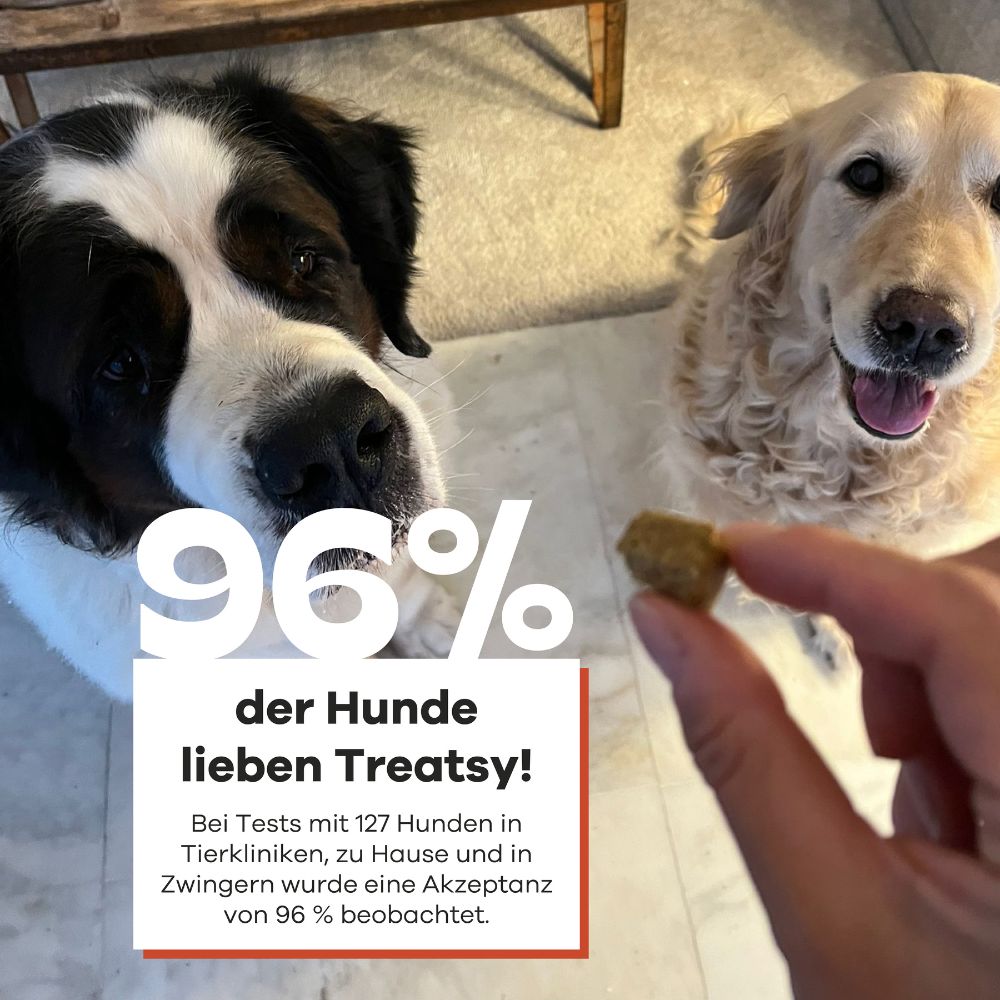 Zwei Hunde schauen in die Kamera. Hand hält Leckerli. Text: 96% der Hunde lieben Treatsy!