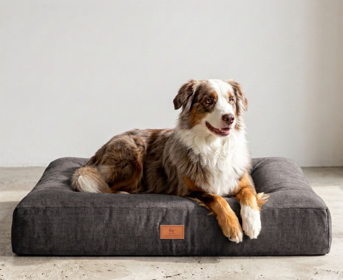Brauner Hund auf einem grauen orthopädischen Hundebett, rechteckig, mit Markenlogo.