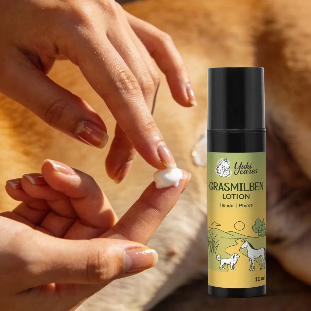 Person gibt Lotion auf Finger. Flasche mit Text: Grasmilben Lotion, Hunde & Pferde. Logo: Yuki cares. Produkt auf Hund.