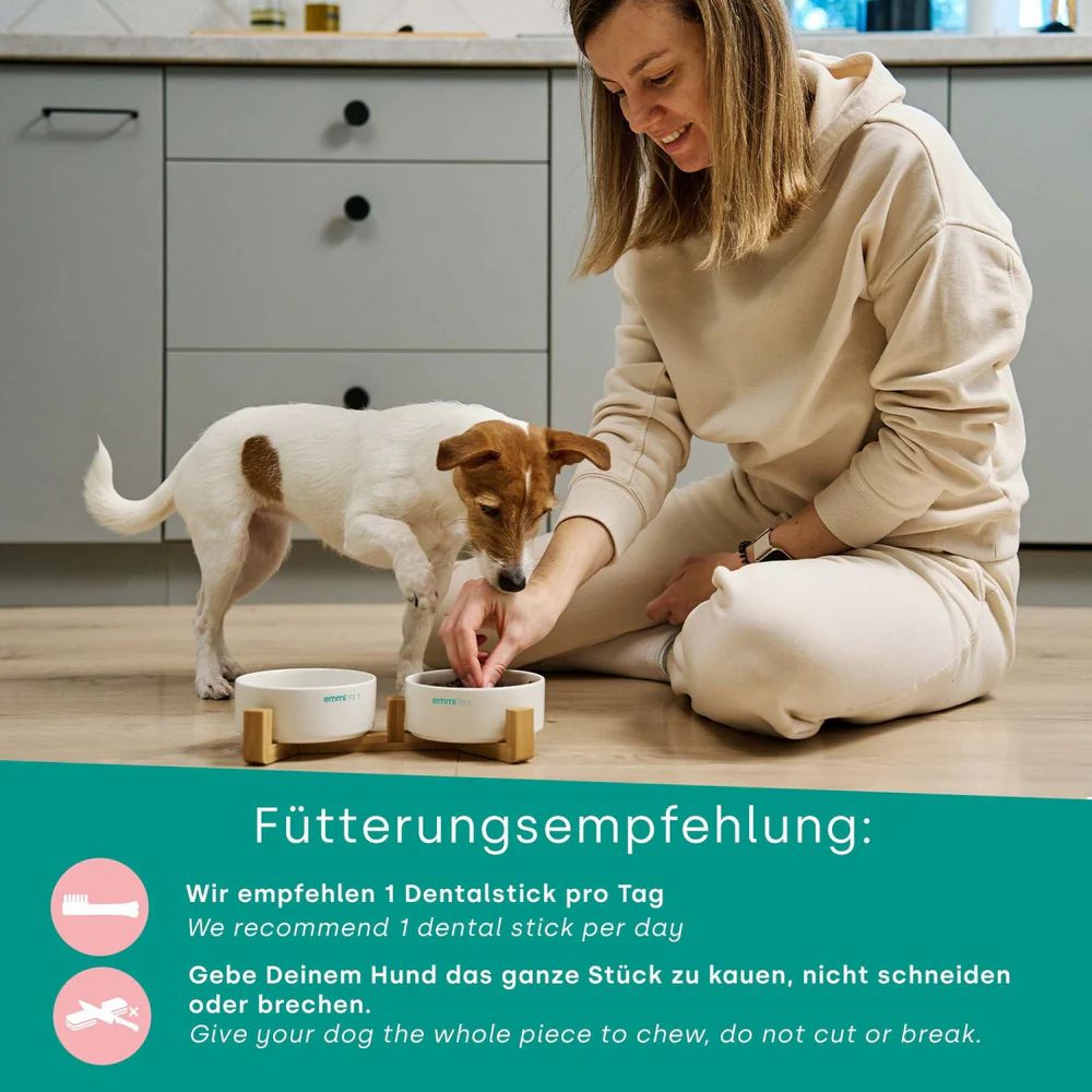 Frau gibt Hund Dentalstick. Zwei Schalen mit Dentalsticks. Text: Fütterungsempfehlung: 1 Dentalstick pro Tag.
