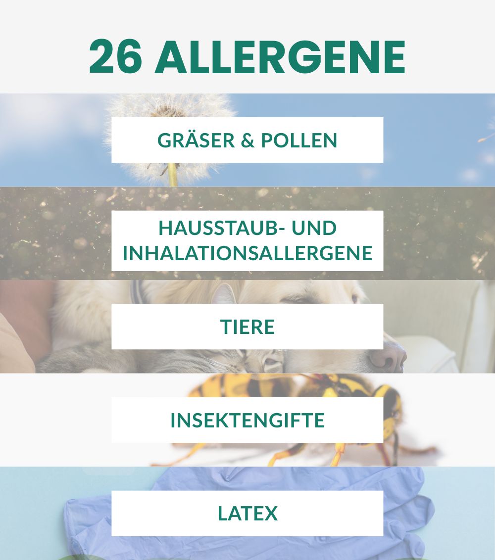Grafik mit Text: 26 Allergene. Bilder: Gräser, Hausstaub, Tiere, Insektengifte, Latex.