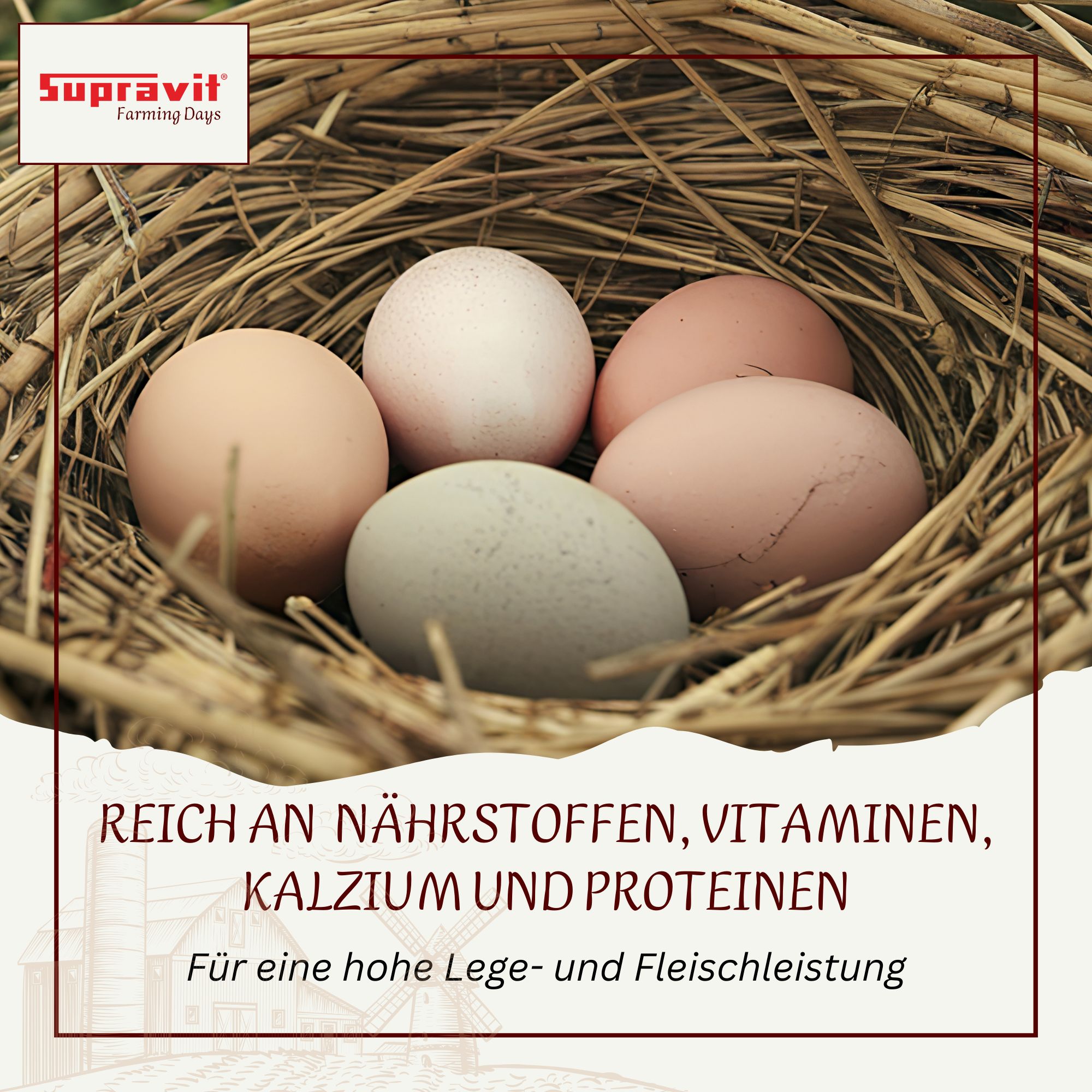 Eier im Nest. Text: Reich an Nährstoffen, Vitaminen, Kalzium und Proteinen. Für hohe Legeleistung. Logo: Supravit.