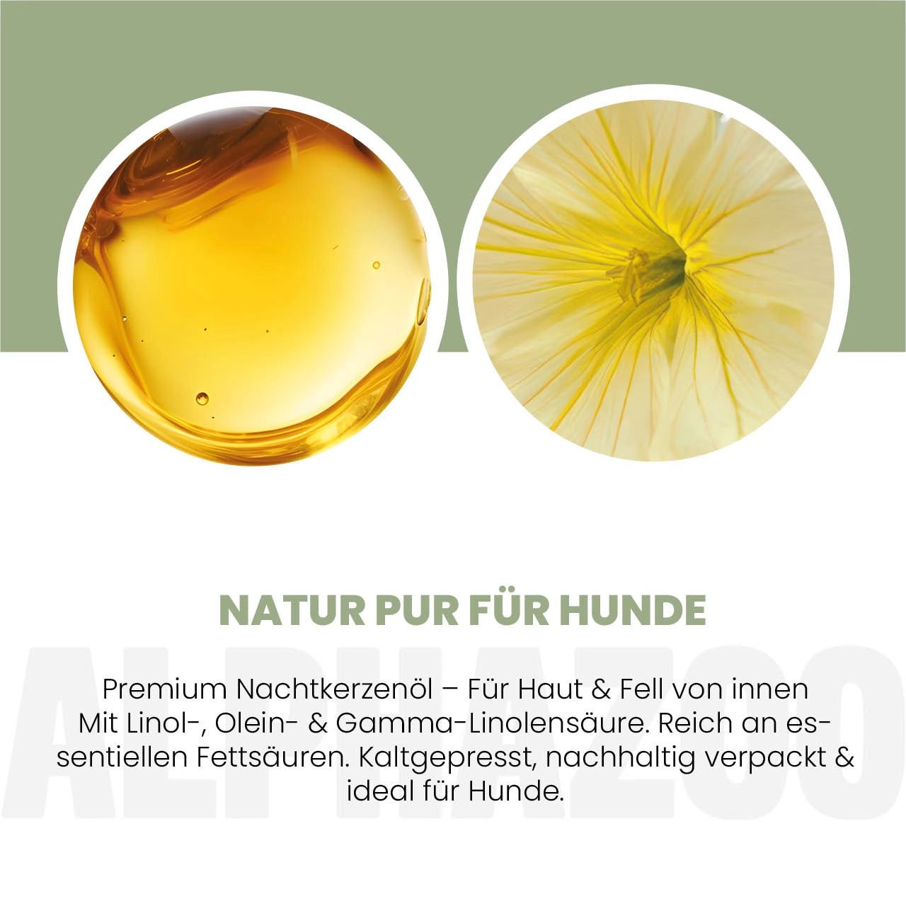 Zwei Kreise: Öl und Blüte. Text: Natur pur für Hunde. Premium Nachtkerzenöl. Kaltgepresst, nachhaltig verpackt.