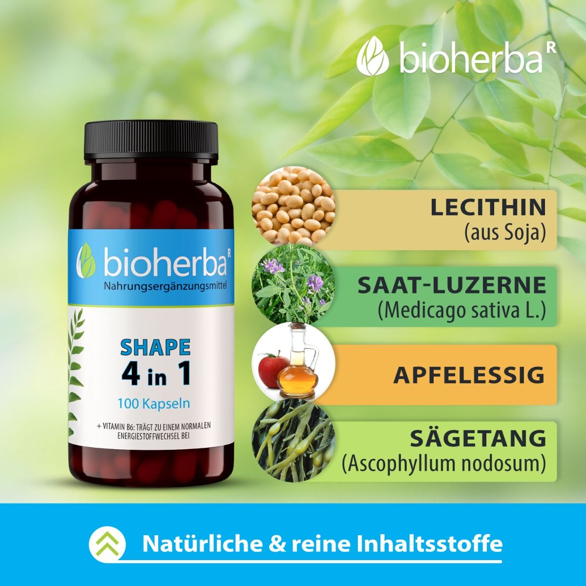 Braune Flasche mit Kapseln. Aufschrift: Bioherba Shape 4 in 1, 100 Kapseln. Abbildungen von Zutaten: Soja, Luzerne, Apfelessig, Sägetang.
