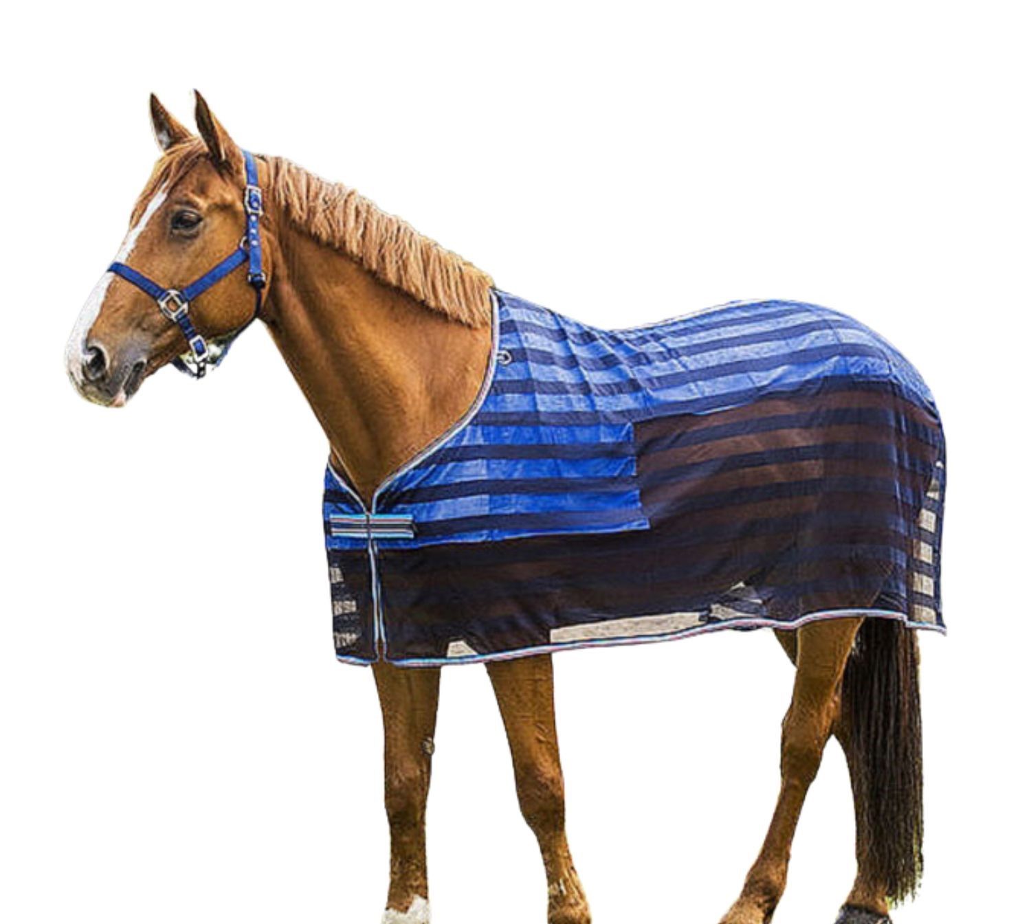 Equitheme Fliegendecke Fresco