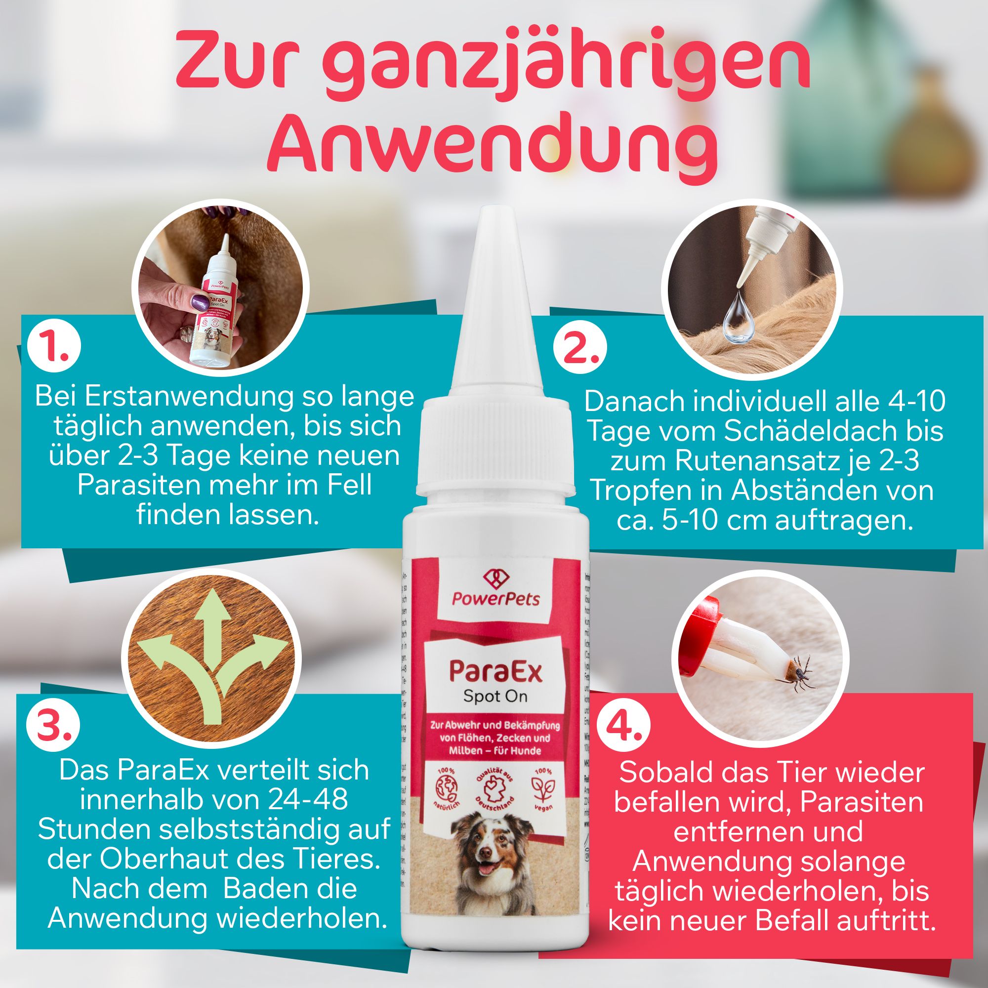 PowerPets - ParaEx - SpotOn für Hunde - 40ml