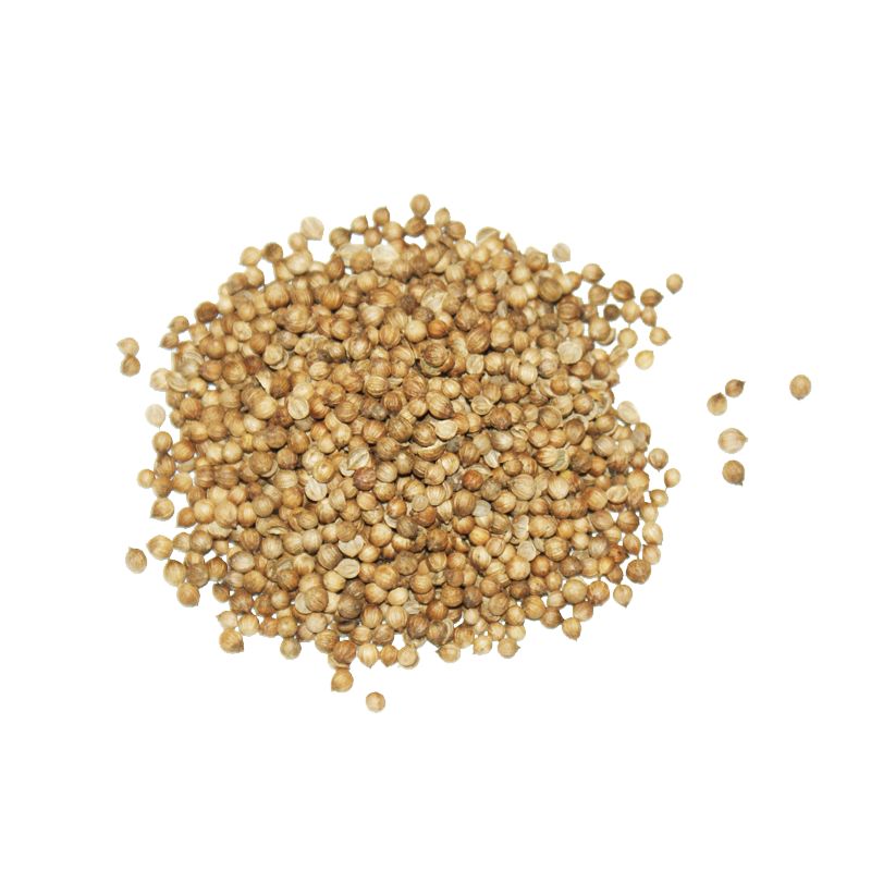 Miraherba - Bio Coriander ganz