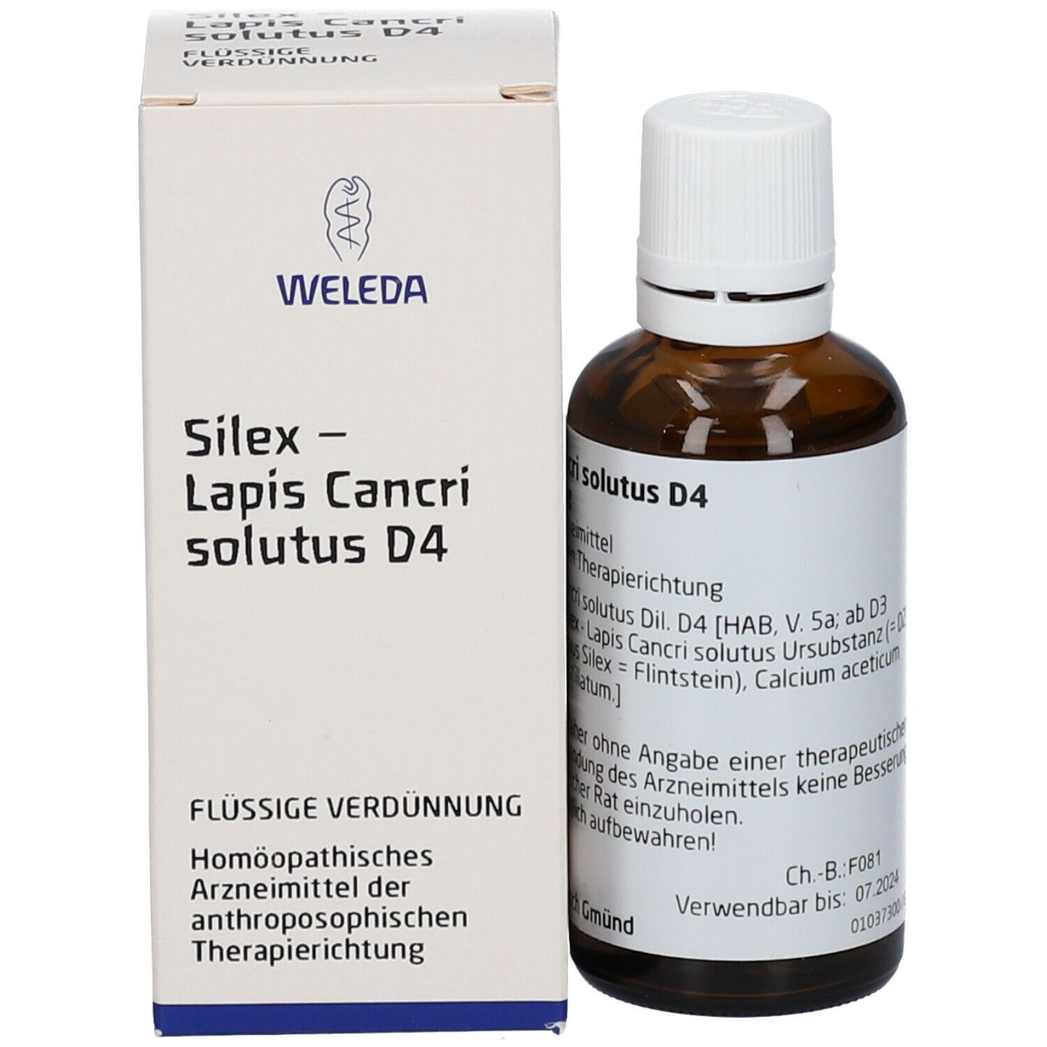 Silex Lapis Cancri Solutus D4 Dilution