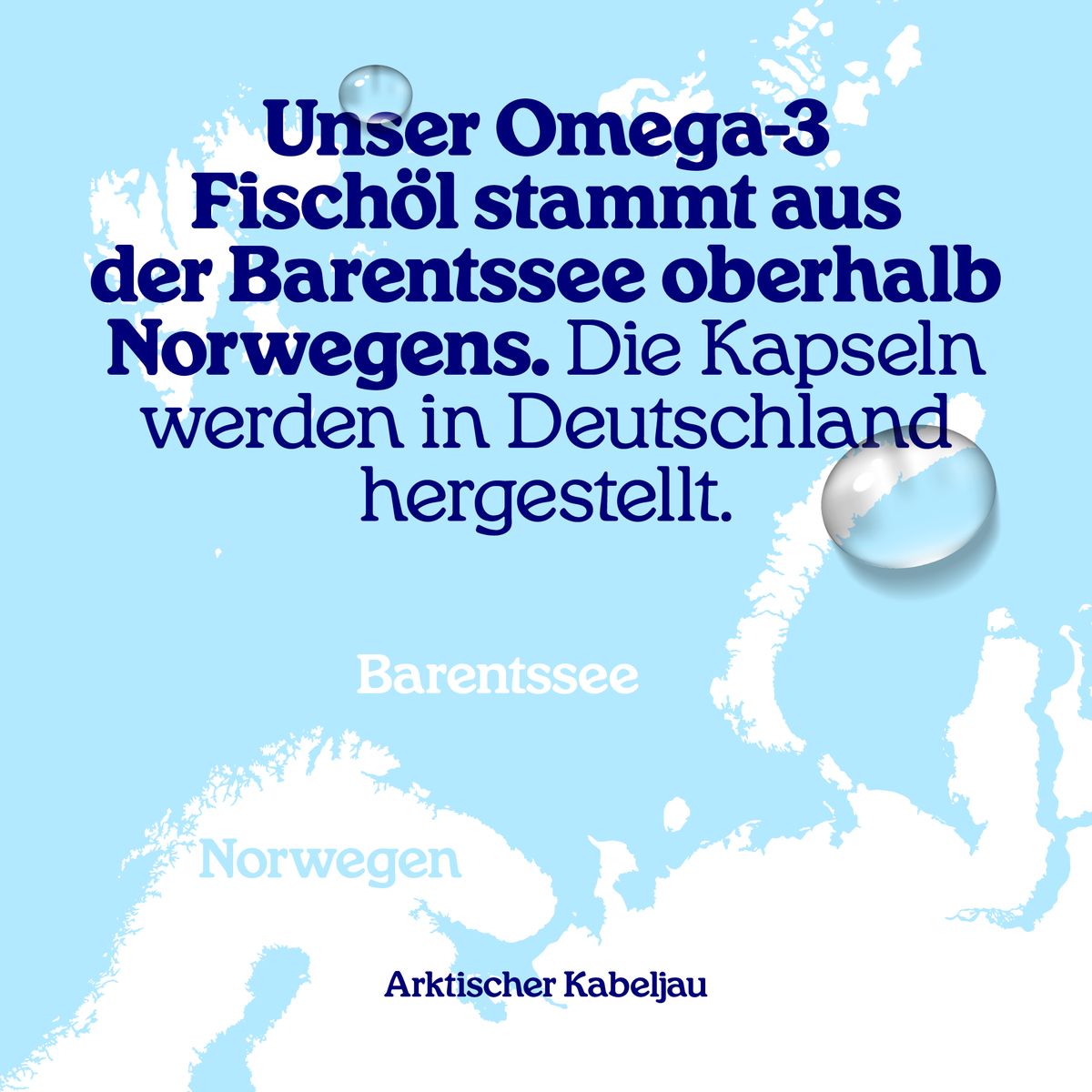 Arctic Blue Omega 3 - Fischölkapseln für Kunde, Katzen & Pferde