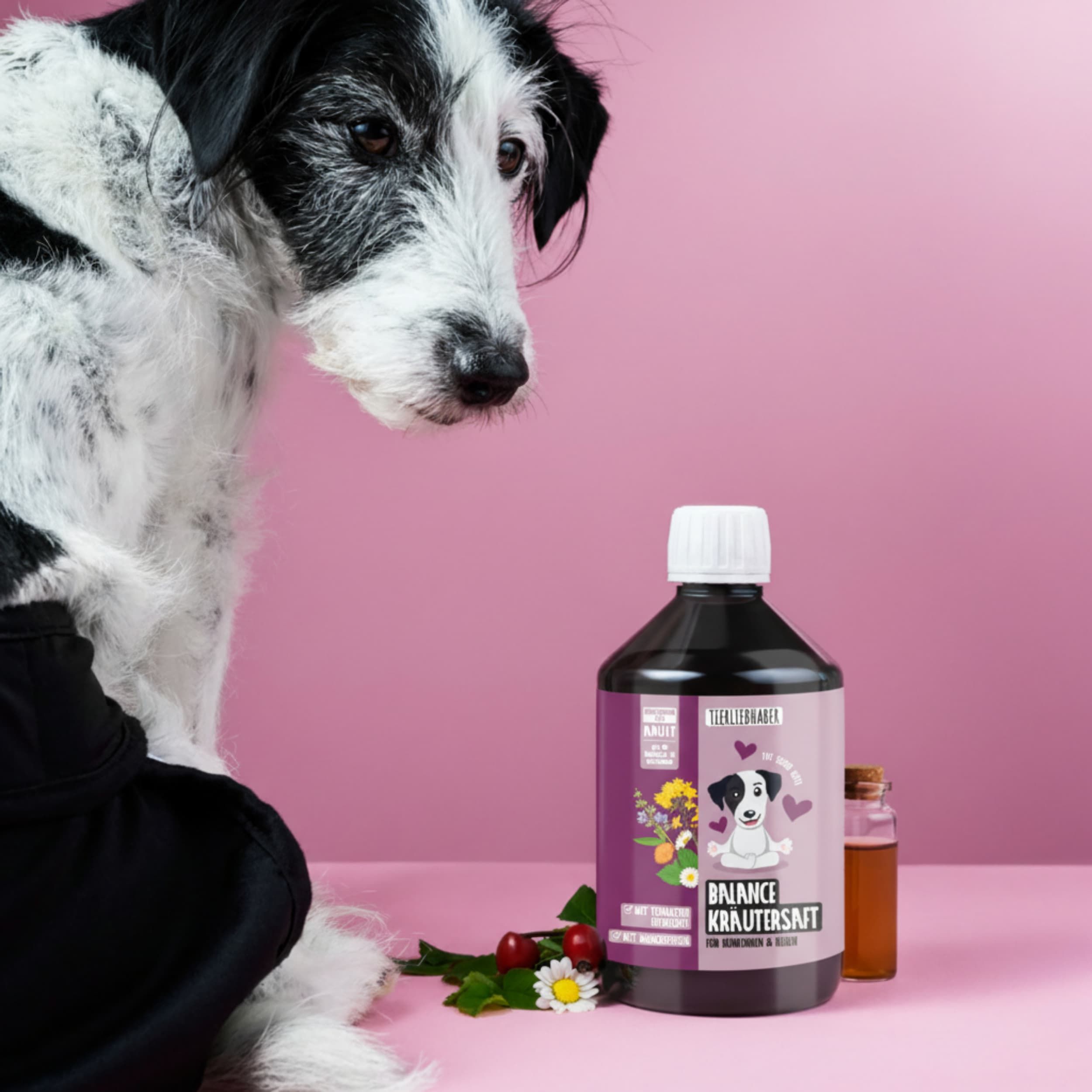 Flasche Tierliebhaber Balance Kräutersaft neben einem Hund, mit Kräutern.