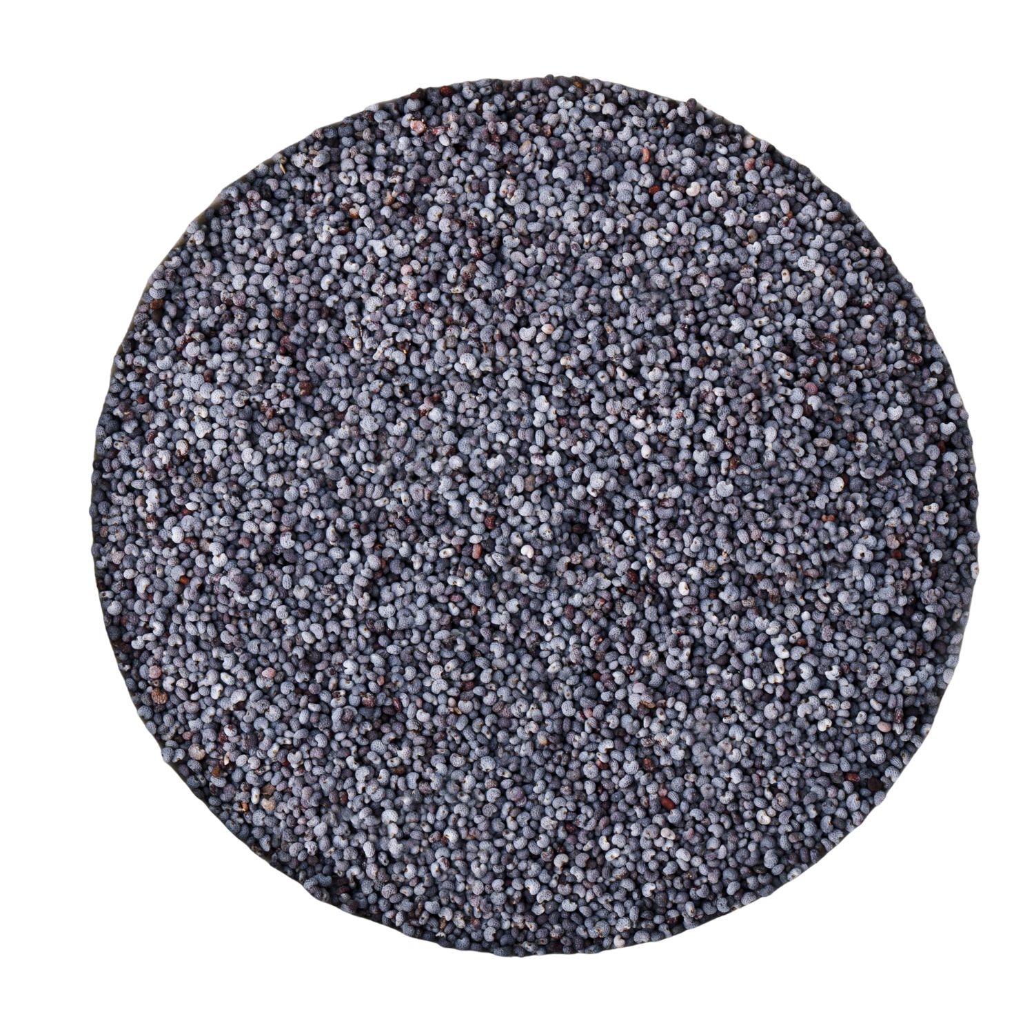 Kreisförmige Anordnung von blauen Mohnsamen. Graue und schwarze Samen bilden einen Kreis auf weißem Hintergrund.