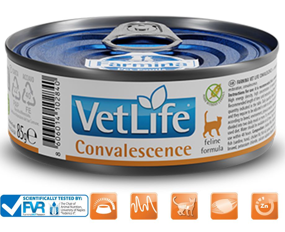 Katzenfutterdose mit "VetLife Convalescence"-Etikett. Logo, Katze-Symbol, und Icons. 85g. "feline formula".