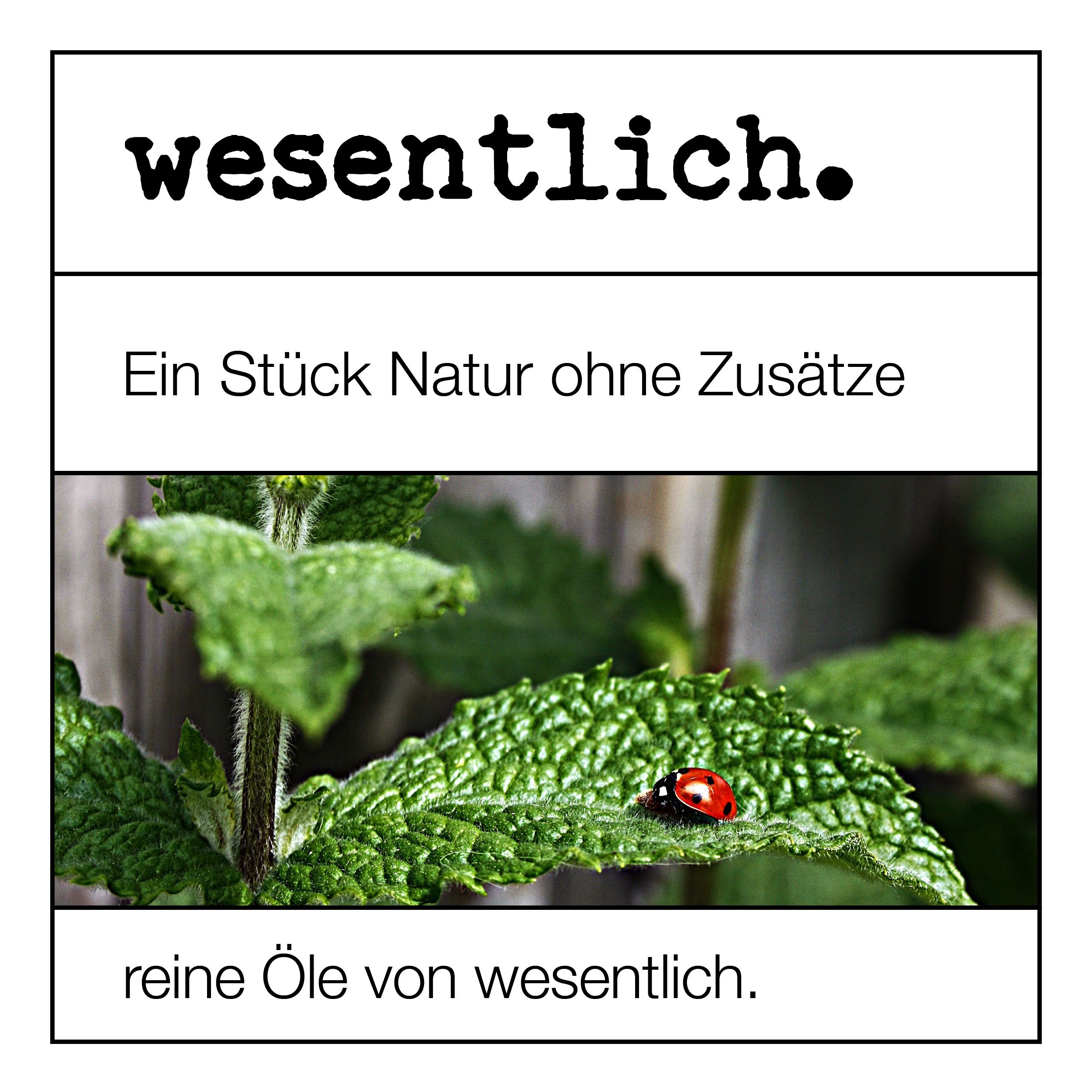 Litsea Cubeba - ätherisches Öl von wesentlich.