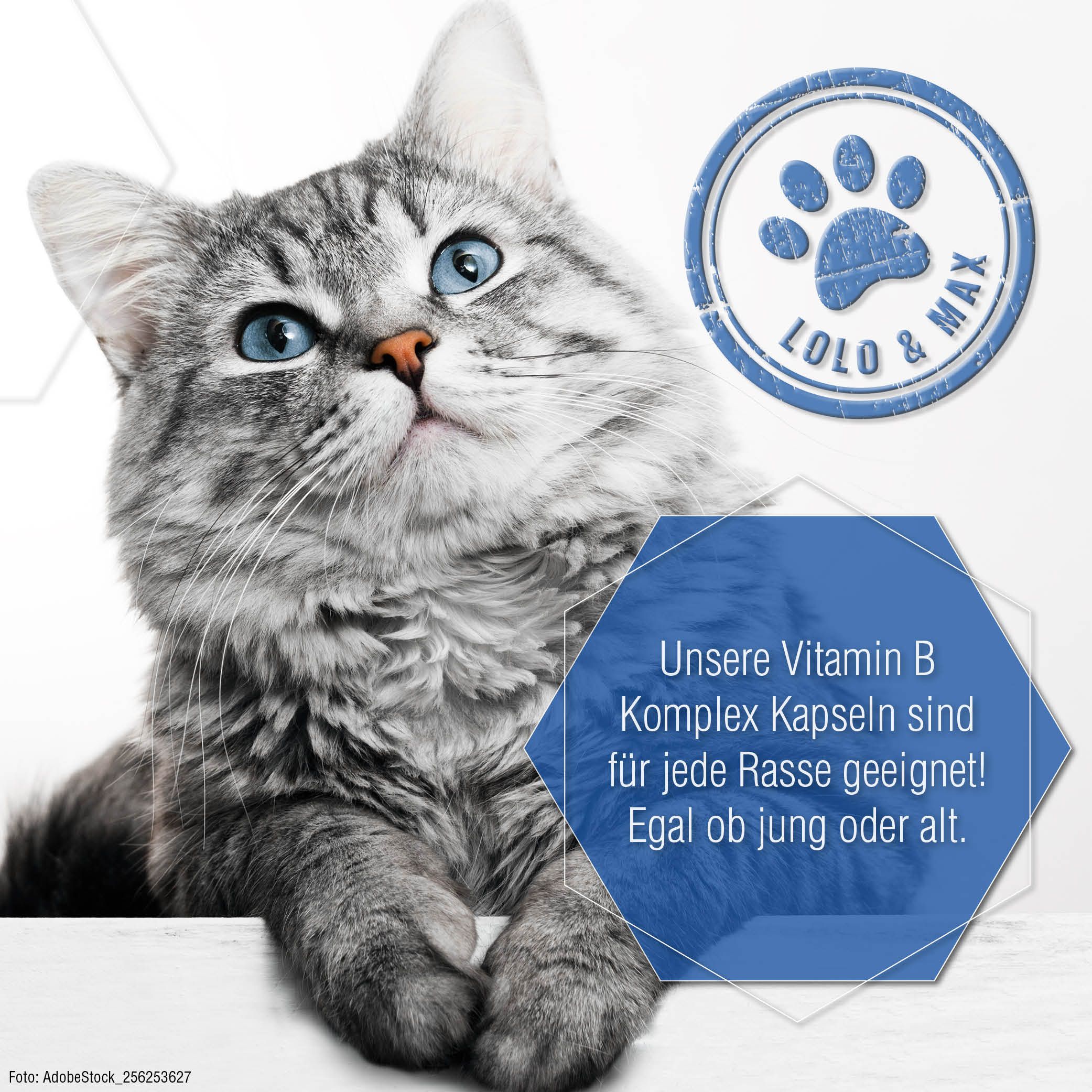 Lolo & Max - Gelenk Aktiv - Tropfen für Hunde und Katzen - 250ml