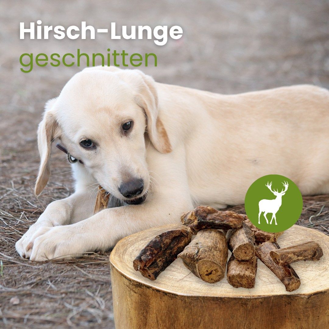 Getrocknete Hirschlunge, in Stücke geschnitten.