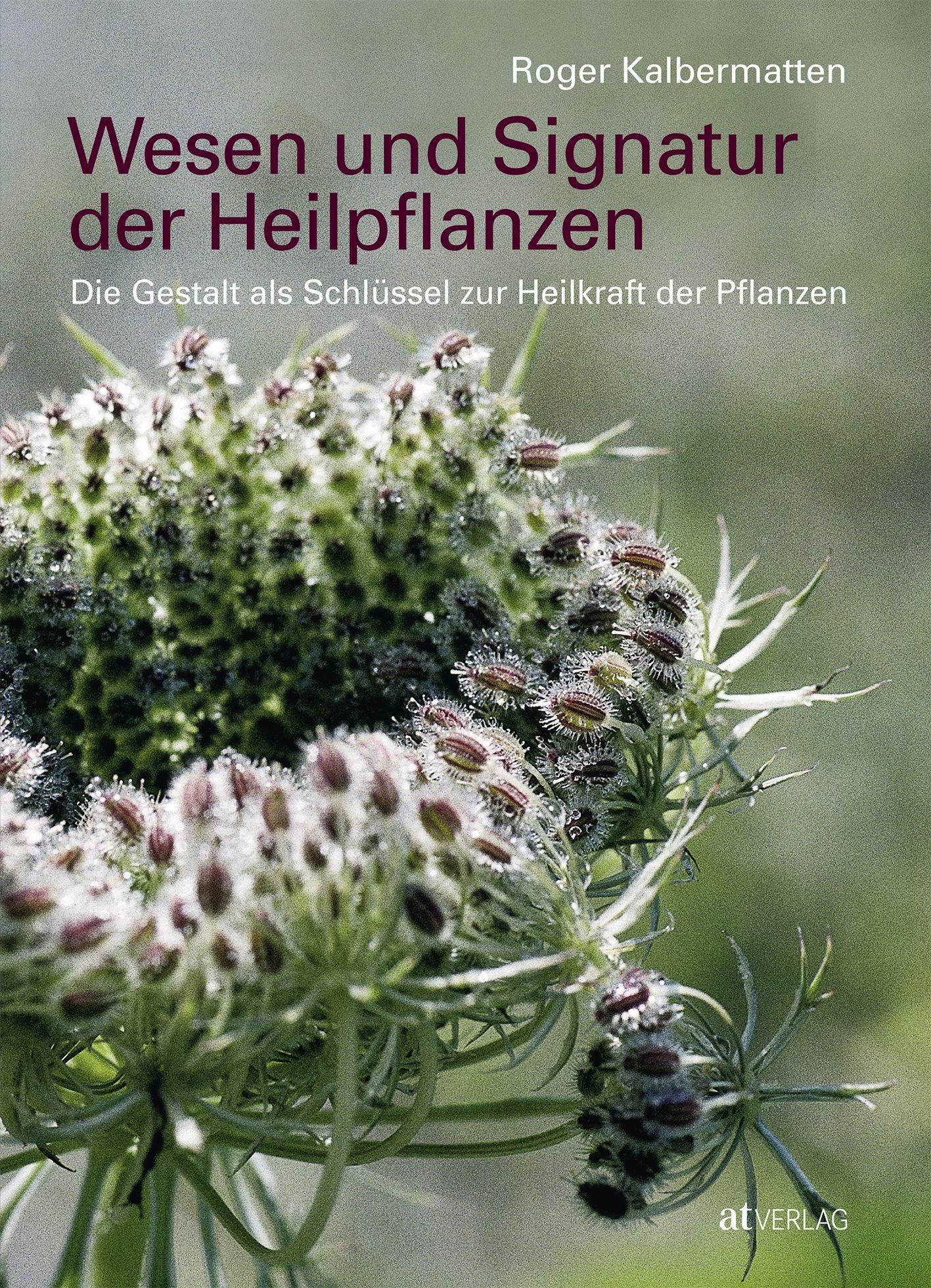 Buchcover: "Wesen und Signatur der Heilpflanzen". Titel und Autor in Burgunderrot. Pflanzenabbildung im Vordergrund, grüner Hintergrund.