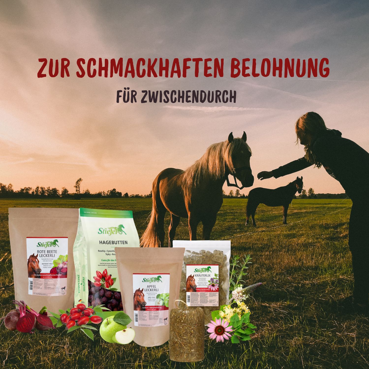 Verschiedene Stiefel Produkte auf einer Wiese. Pferde und eine Person im Hintergrund. Produkte: Rote Beete, Hagebutten, Apfel, Kräuter.
