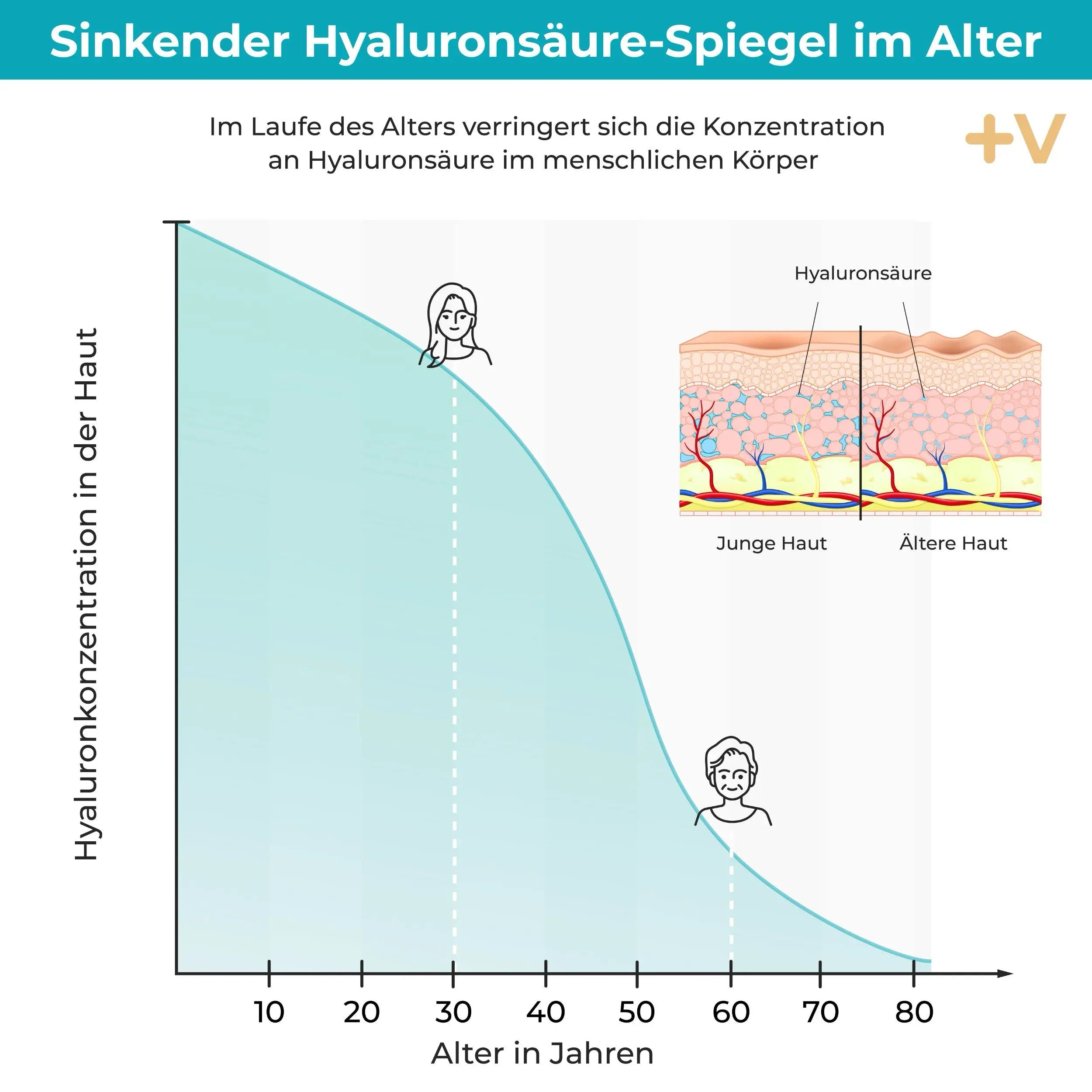 Viktilabs Hyaluronsäure Kapseln: 500 mg Hyaluron aus pflanzlicher Fermentation