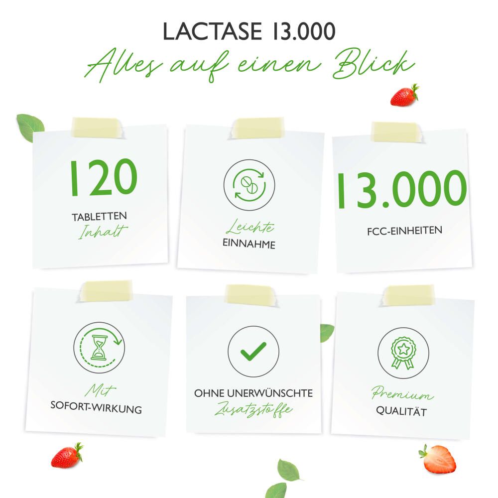 vit4ever Laktase Depot 13.000
