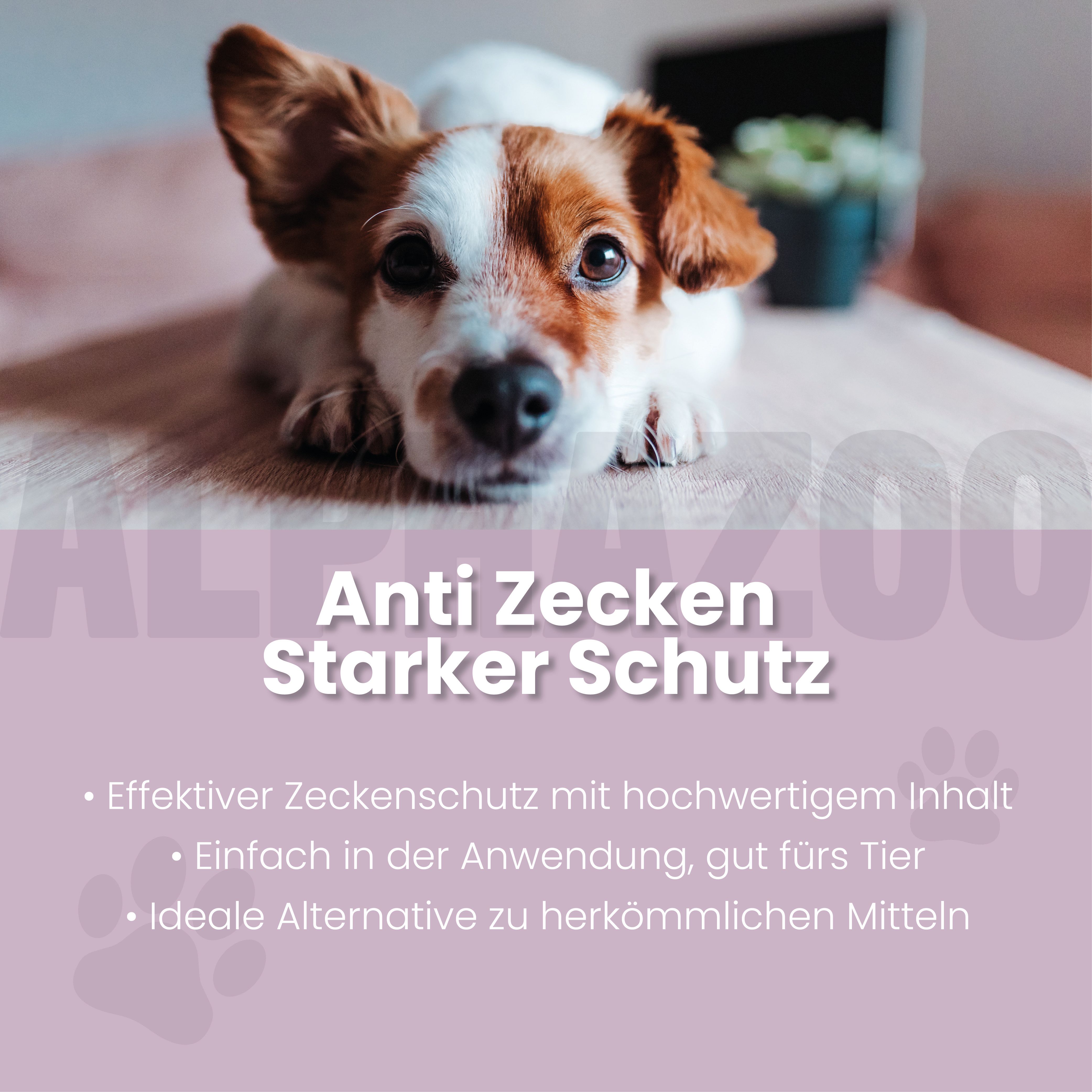 Hund liegt auf Tisch. Text: Anti Zecken Starker Schutz. Effektiv, einfach, ideal.