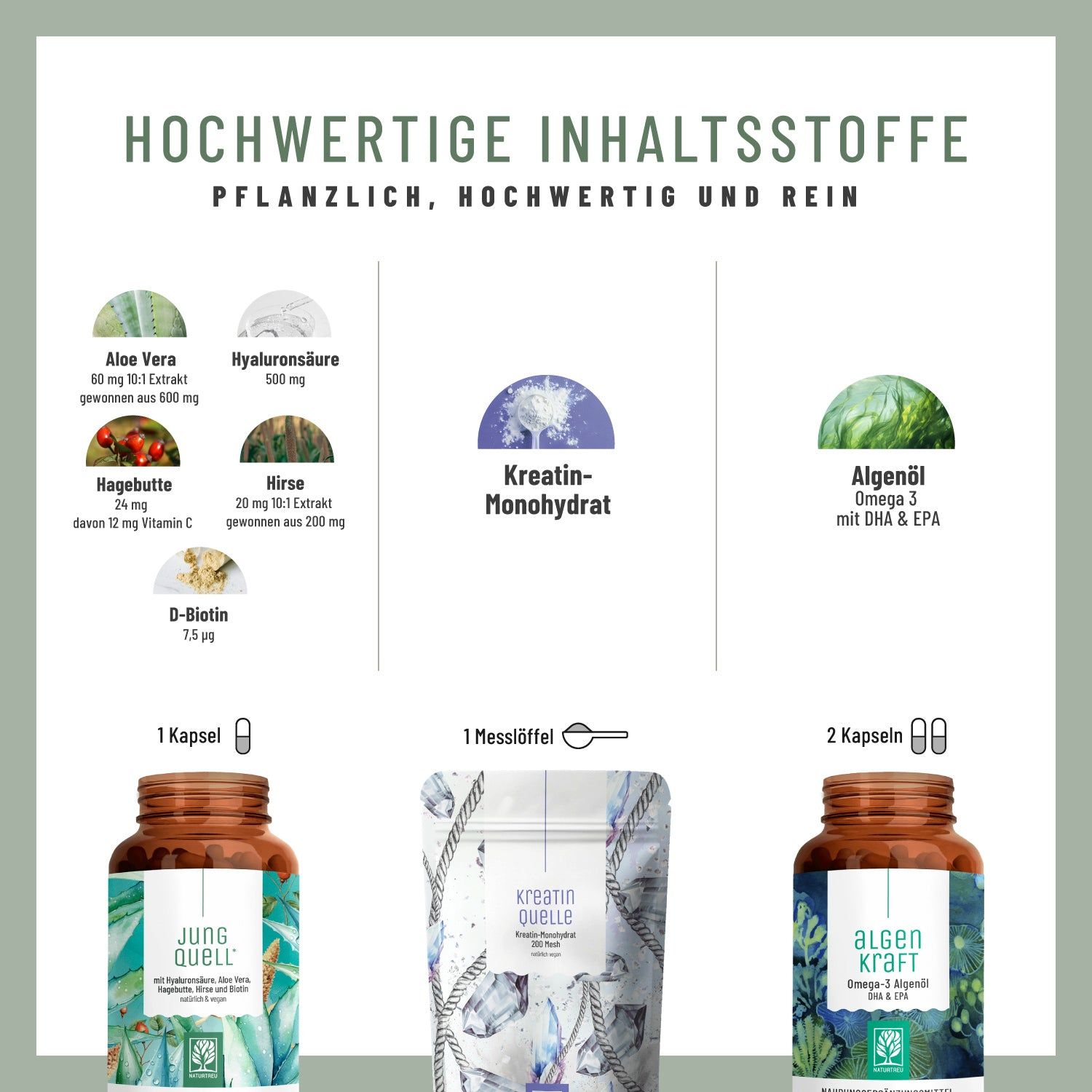 Infografik mit Inhaltsstoffen: Aloe Vera, Hyaluronsäure, Hagebutte, Hirse, Algenöl, Kreatin-Monohydrat. Kapseln, Messlöffel, Flaschen.