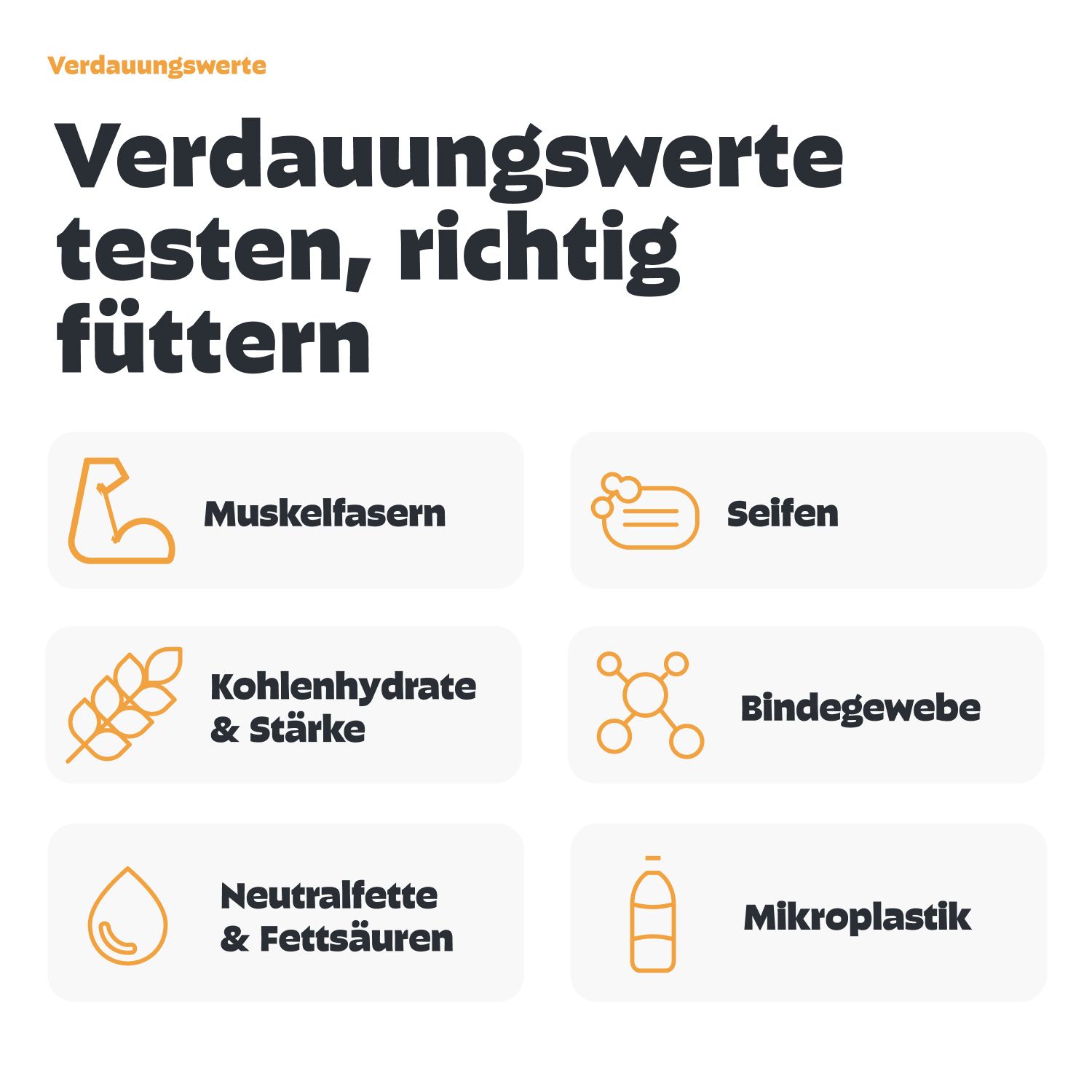 Infografik: Verdauungswerte testen. Muskelfasern, Kohlenhydrate, Neutralfette, Seifen, Bindegewebe, Mikroplastik.