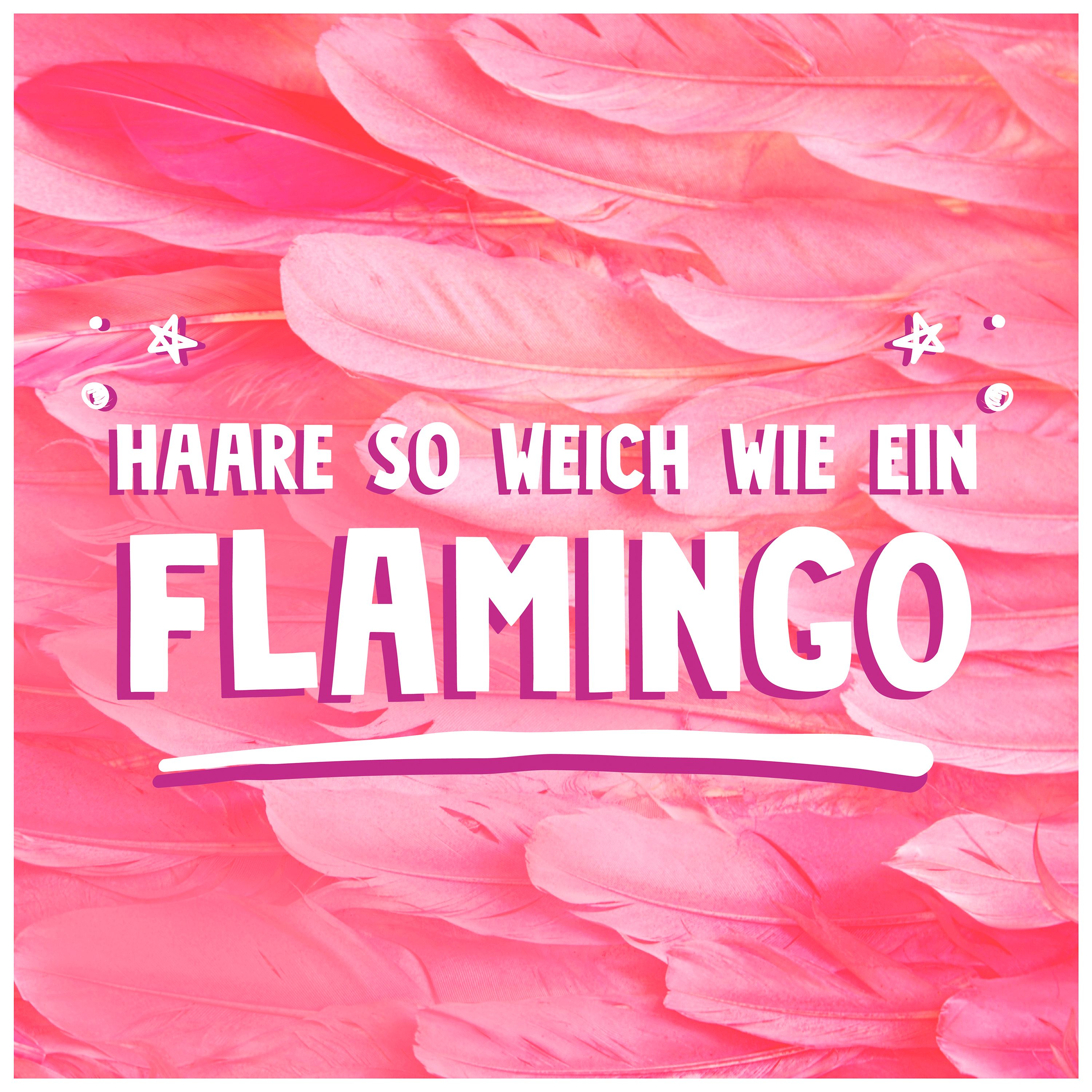 Text auf rosa Federn: "Haare so weich wie ein Flamingo". Sterne.