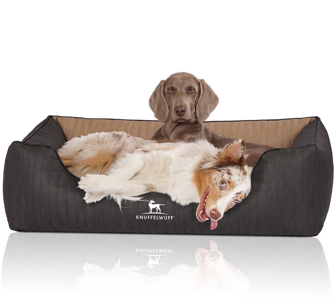 Hundebett Outback mit zwei Hunden. Ein Hund liegt, einer sitzt. Dunkelgrau mit beige. Logo Knuffelwuff.