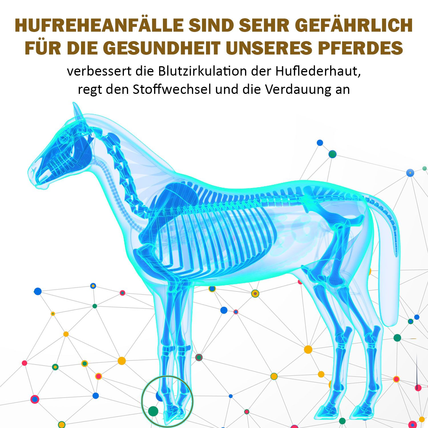 V-Point® Rehe Plus – Unterstützung bei Hufrehe - 100% pflanzlich 450 g Pulver