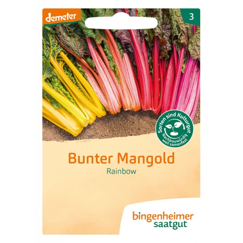 Saatguttüte mit Mangold Rainbow. Bunte Blätter in Gelb, Rosa und Rot. Demeter-Logo. Text: Bunter Mangold, Rainbow, Bingenheimer Saatgut.